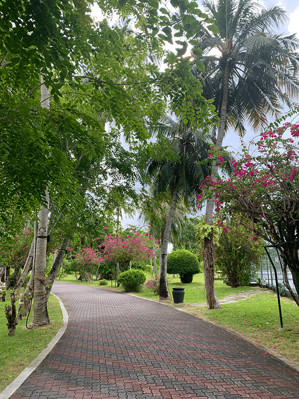 commercial-and-residential-paving-services-central-florida