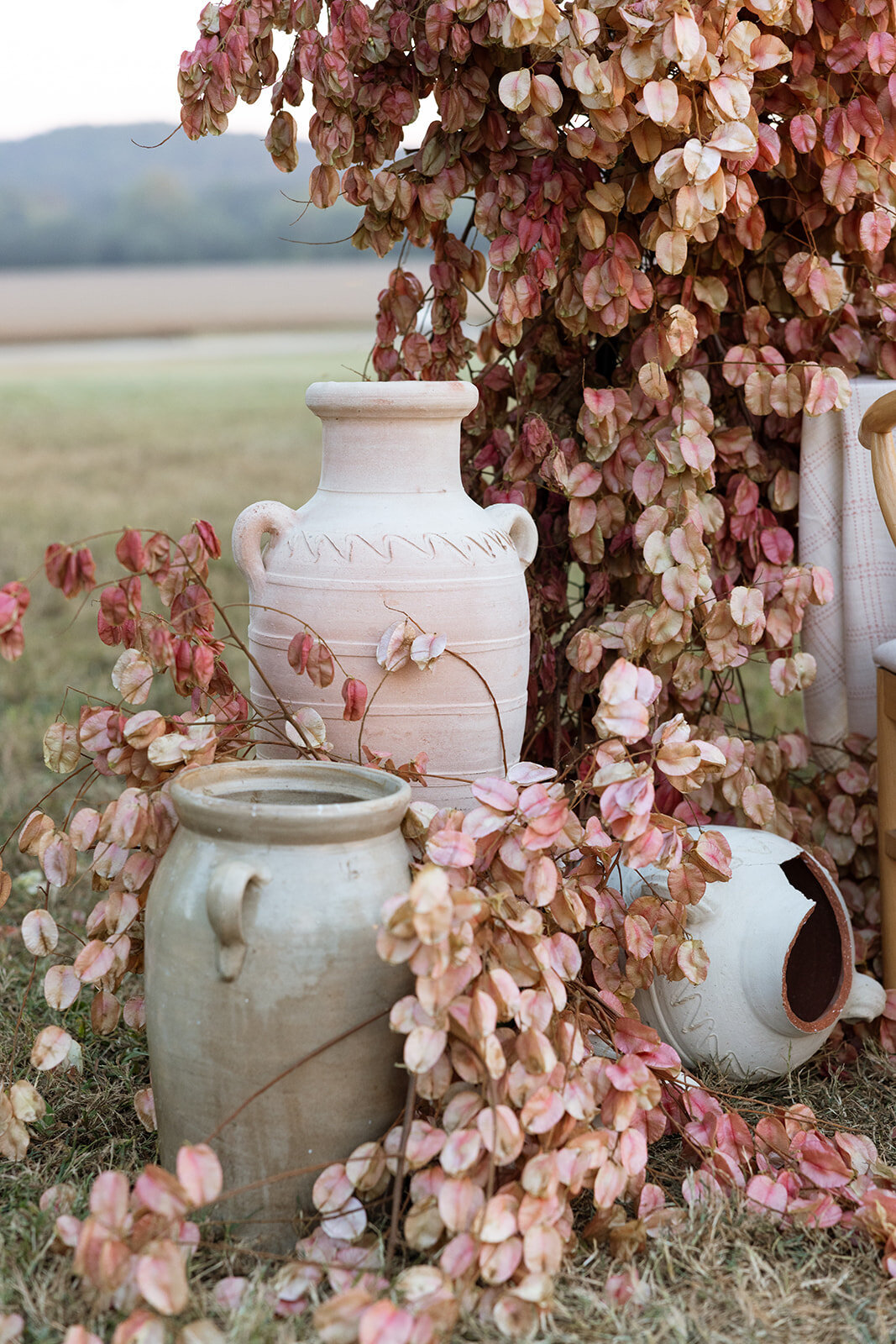 foxandquinnX89thandautumn weddingdesign-116