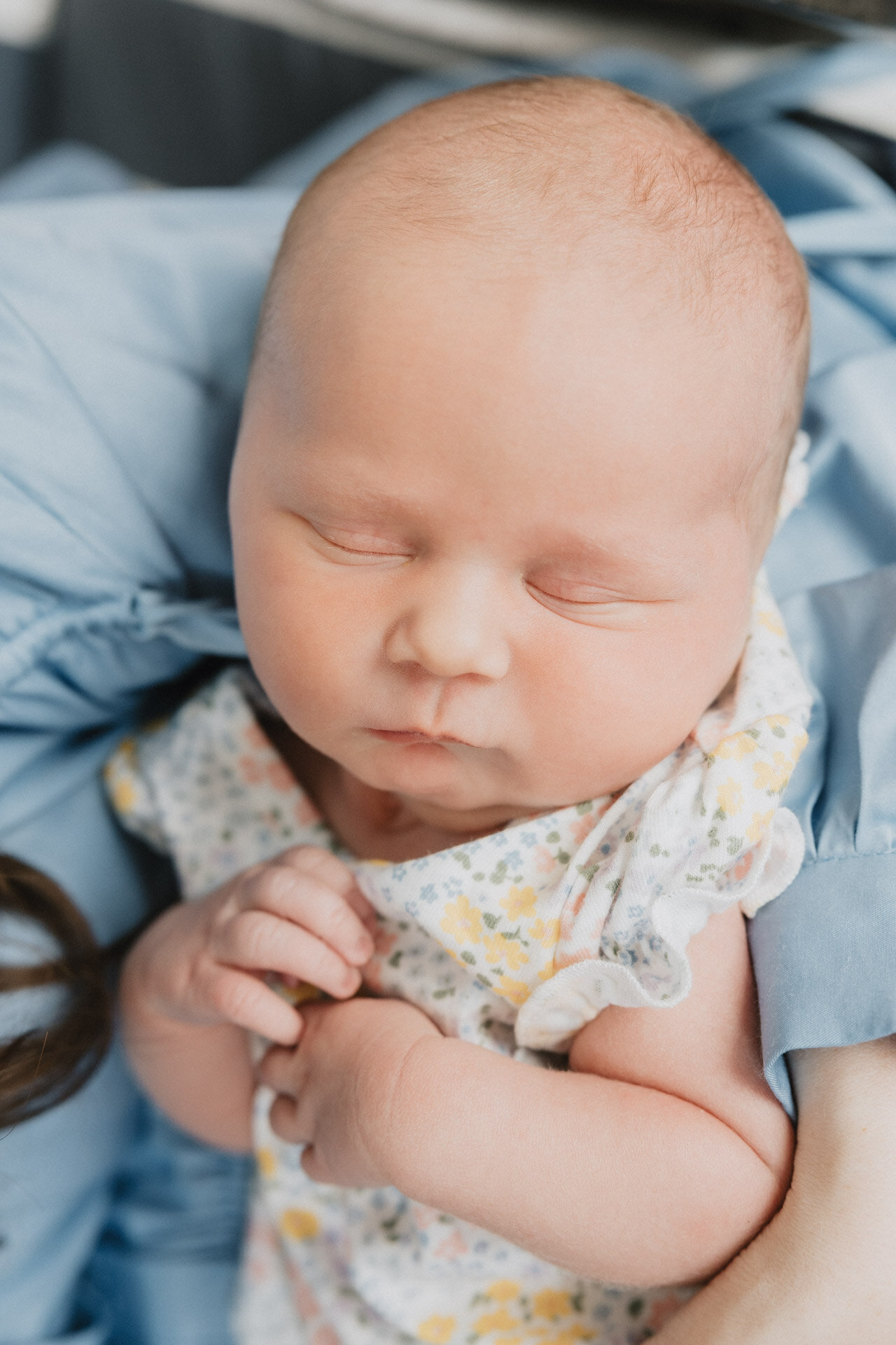 nj-family-photographer-alicia-seeley-62