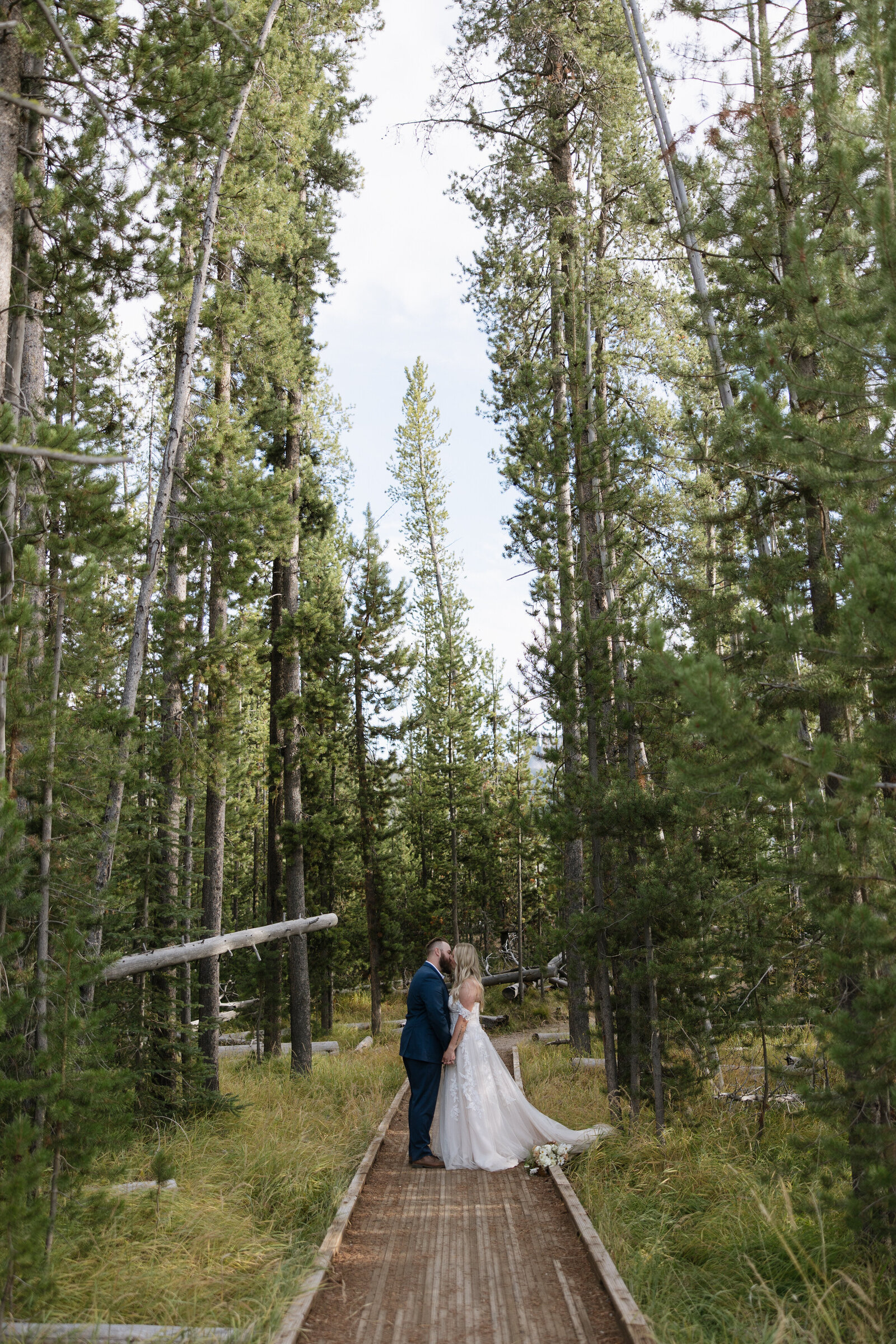 Scenic forest backdrop for intimate couples portraits in the Sawtooths