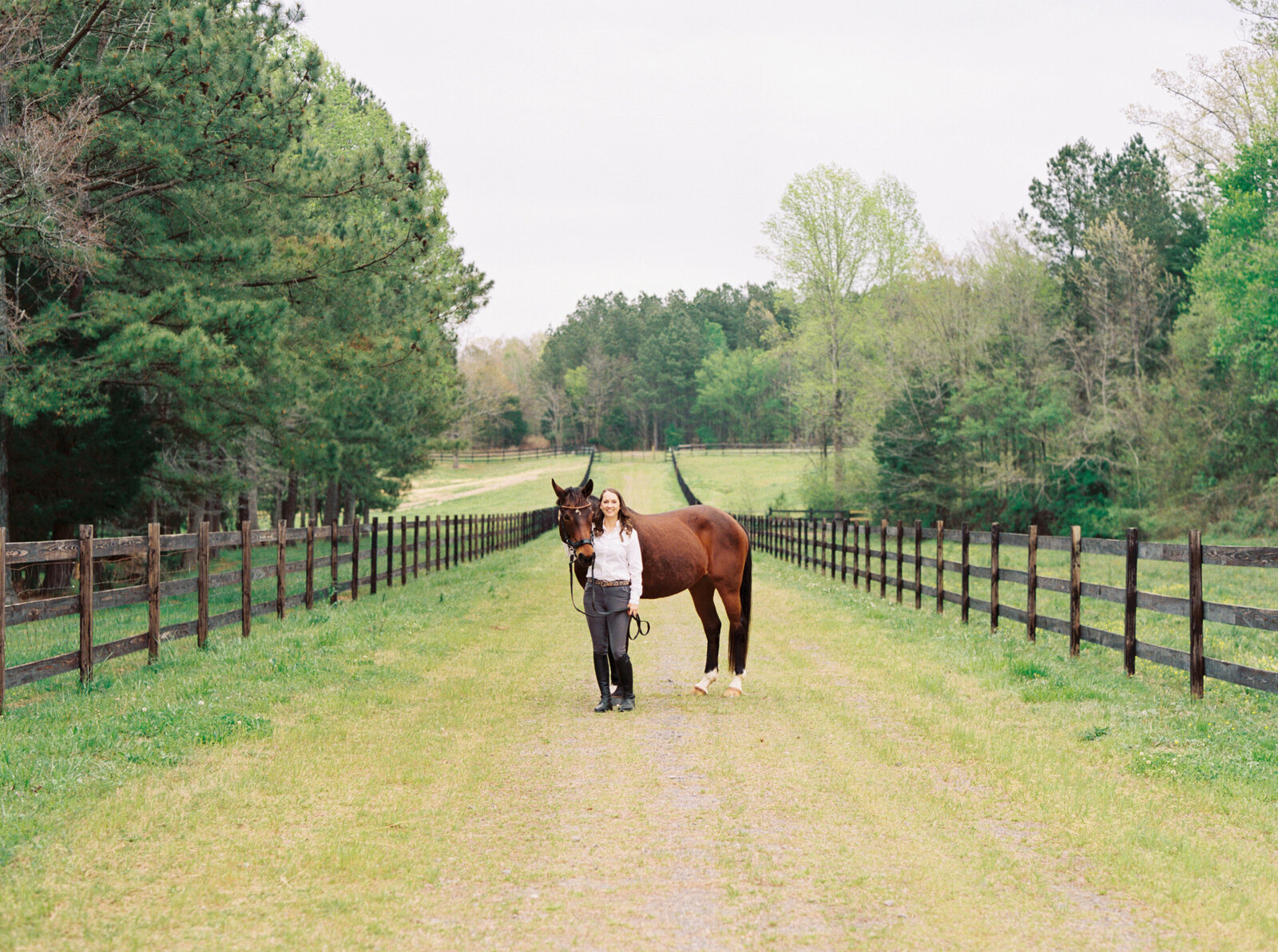 nc-equestrian-photographer-daniellejamesstudios-7