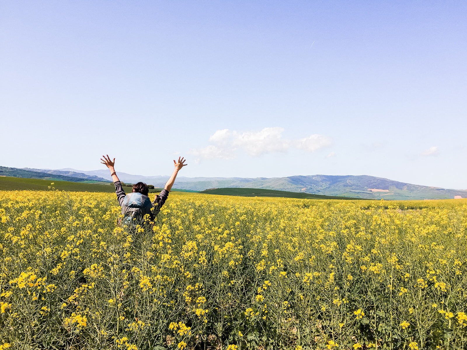 caminodesantiago-20