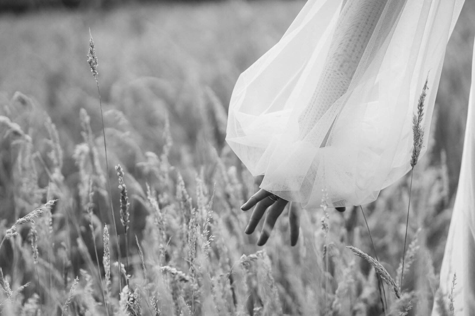 Riverstone Estate Editorial, Yarra Valley Weddings, Courtney Laura Photography-543