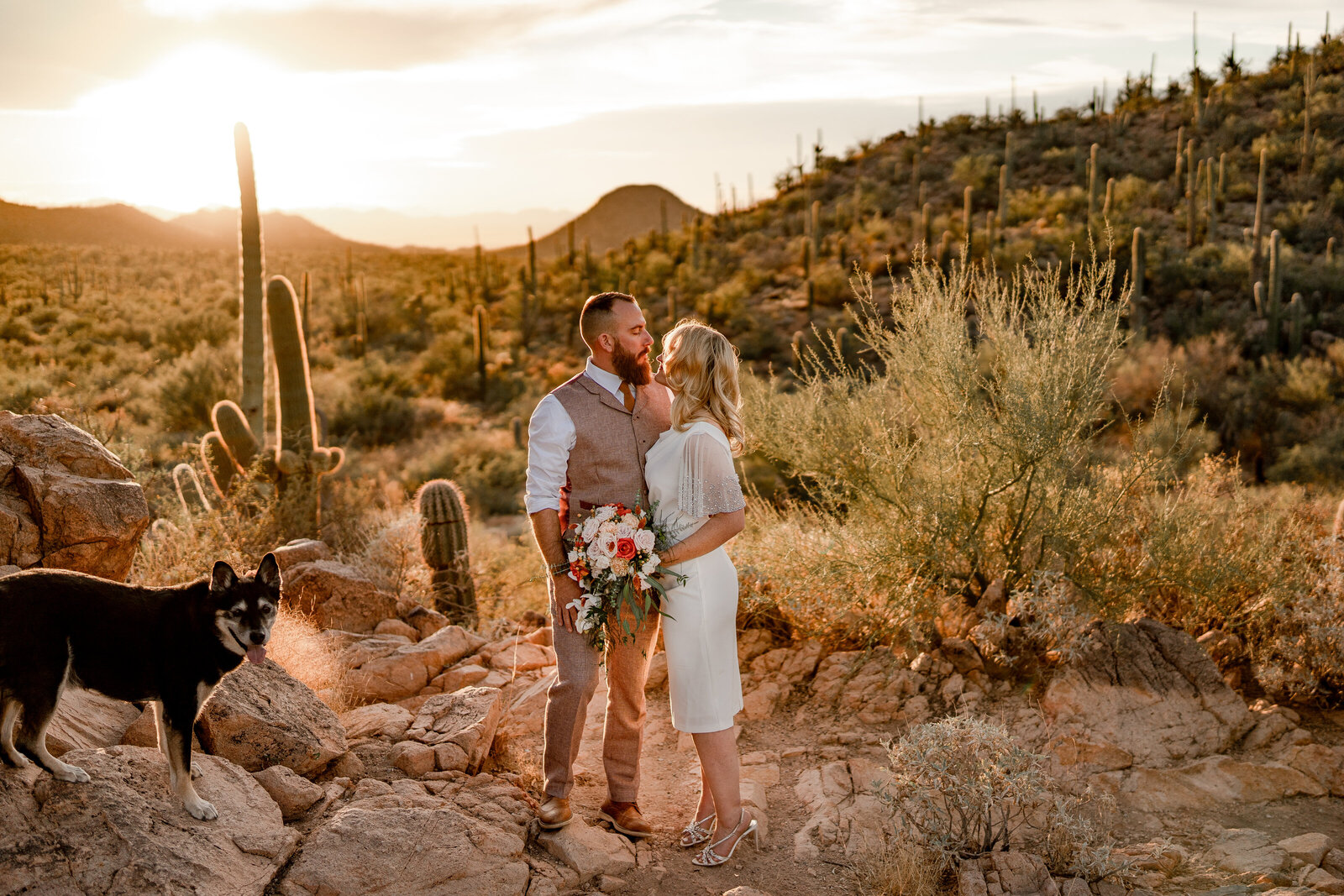 Saguaro National Park elopement photo shoot with couple standing with dog at sunset