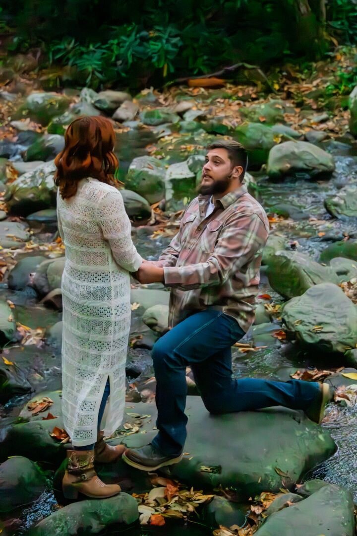 Smoky_Mountain_Proposal