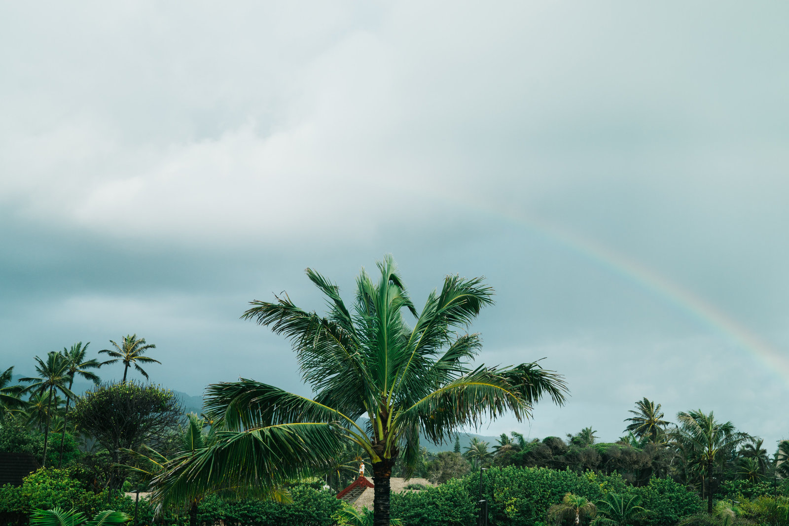 Sasha_Reiko_Photography_Oahu-1