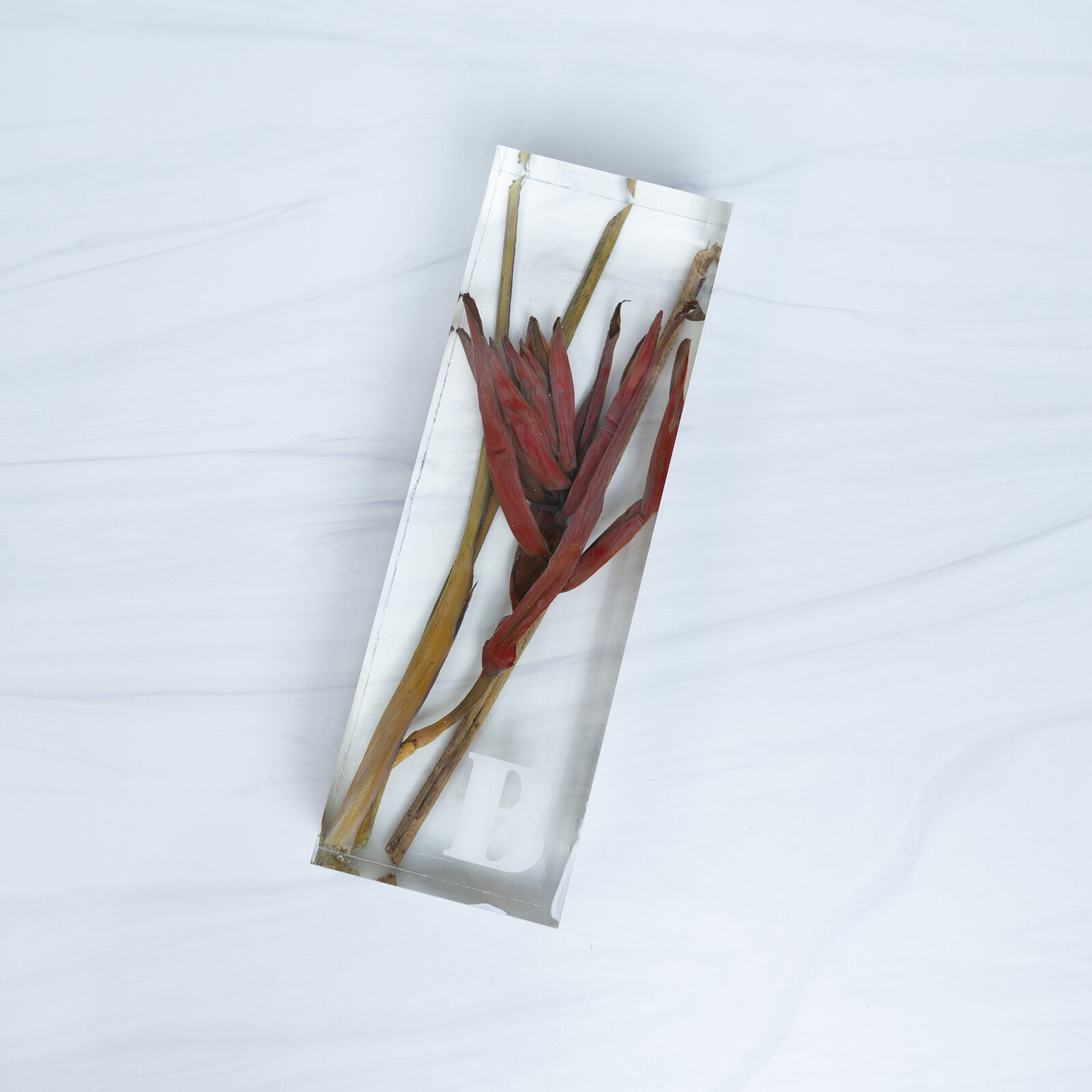 block12x4 birdofparadise red paint JessicaM