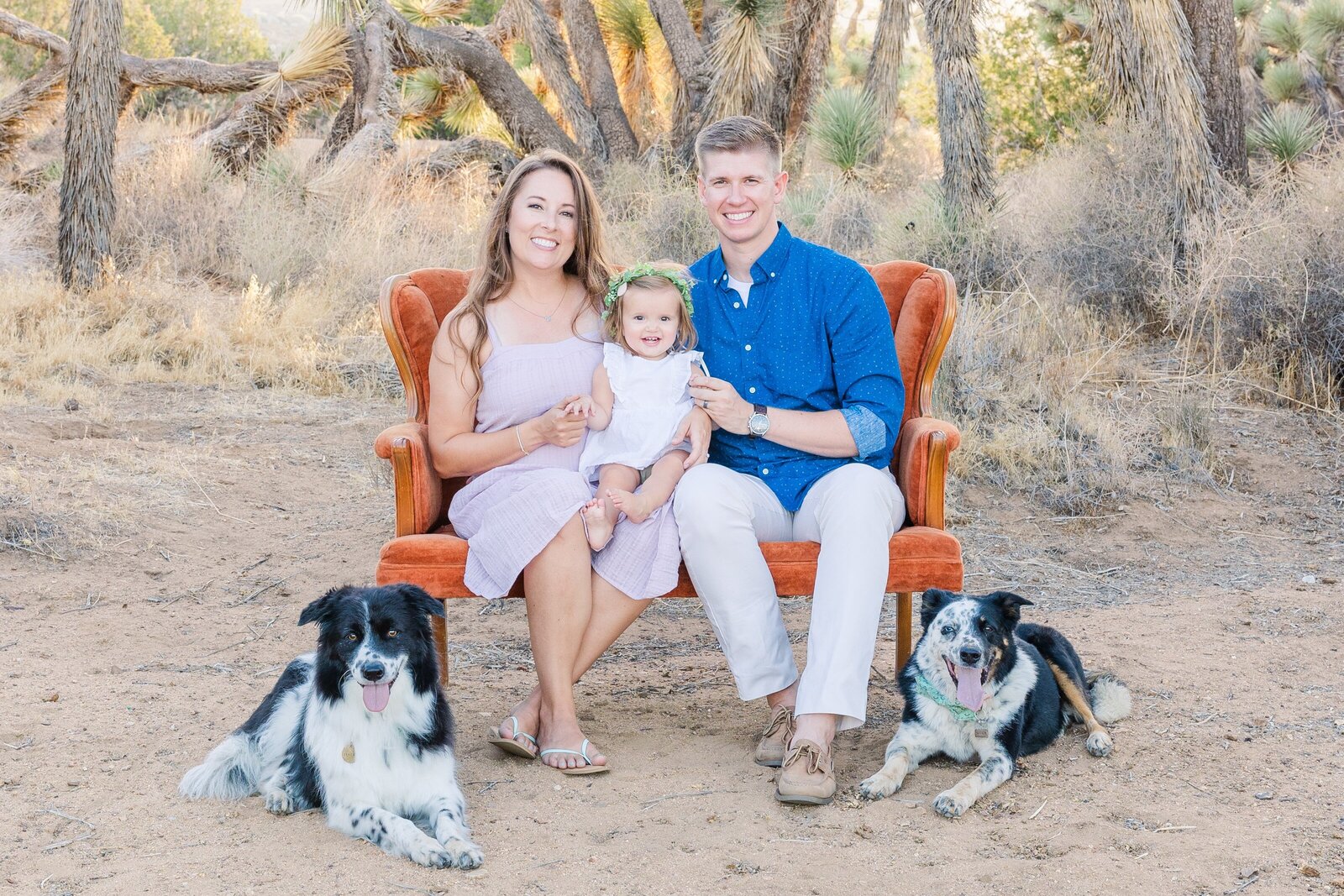 Joshua-Tree-portrait-Aronoff-Photography-1