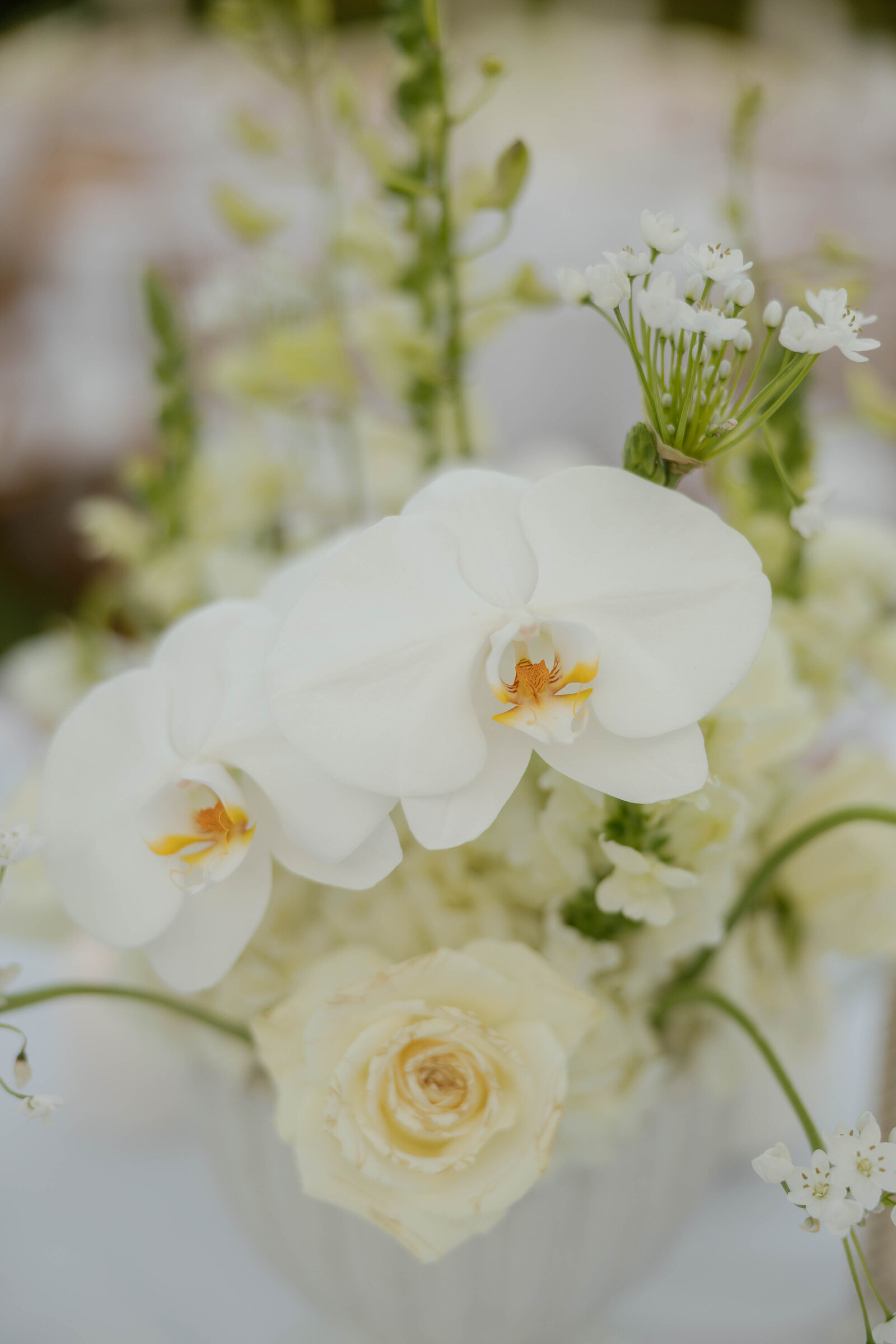 luxury-wedding-photographer256
