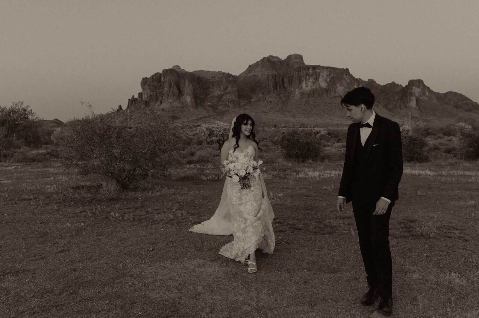 TheCarmonasWeddingAZ-1111