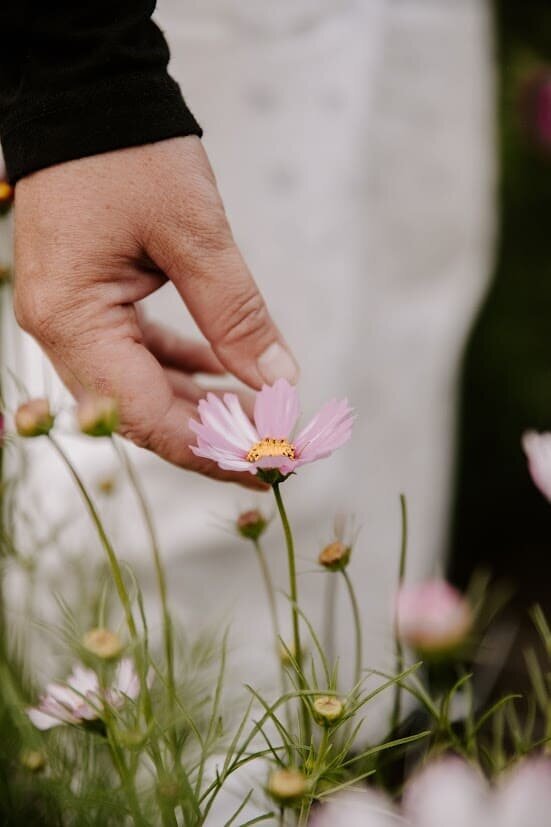 classesflorale_worshop_fermeflorale_7