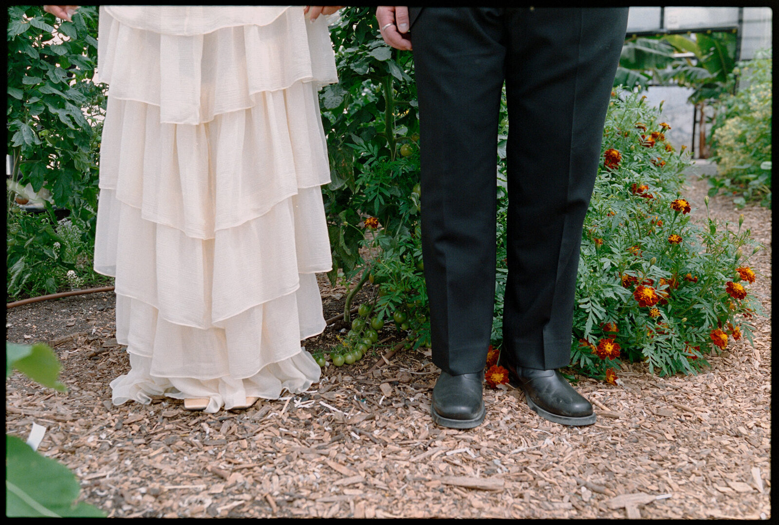 Australia-Film-Wedding-Photographer_Zara_Staples-115