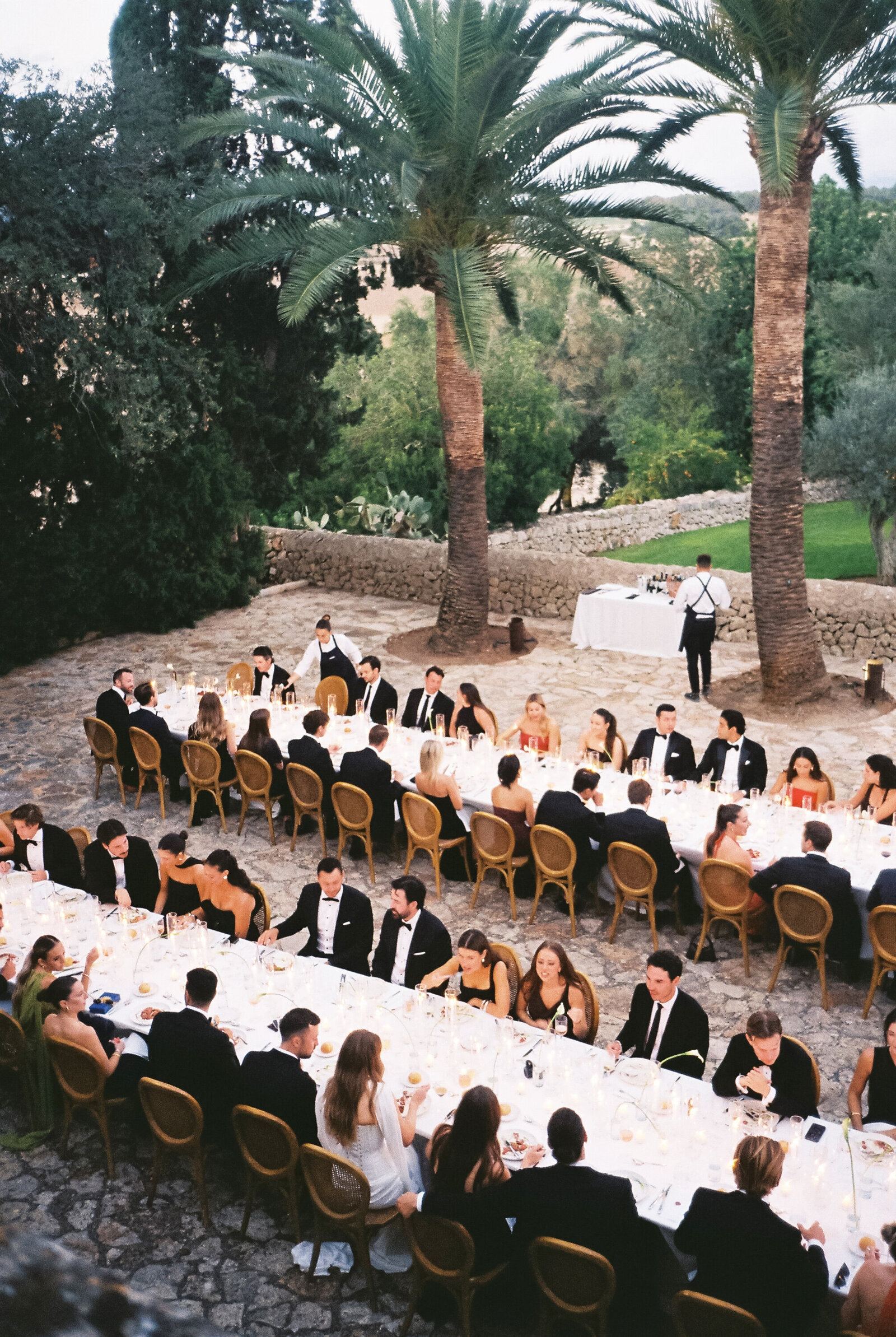 samandlarissa_SA_onfilm6