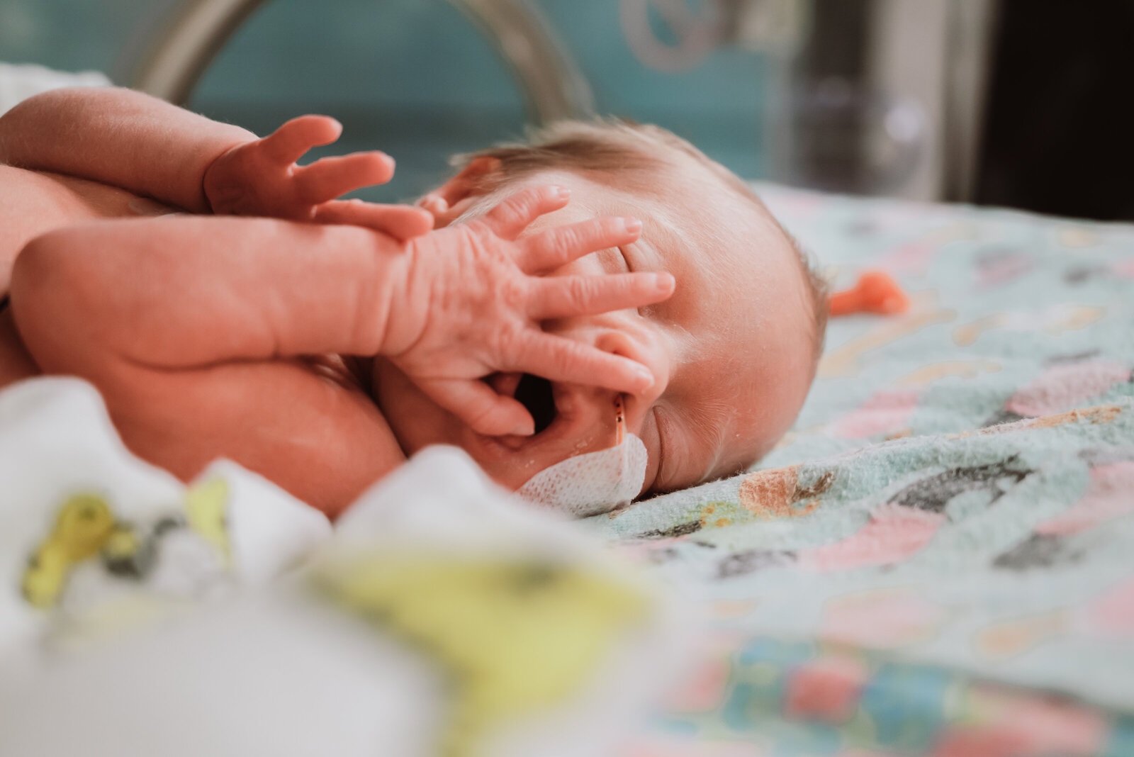 central missouri photographer, NICU, newborn photographer