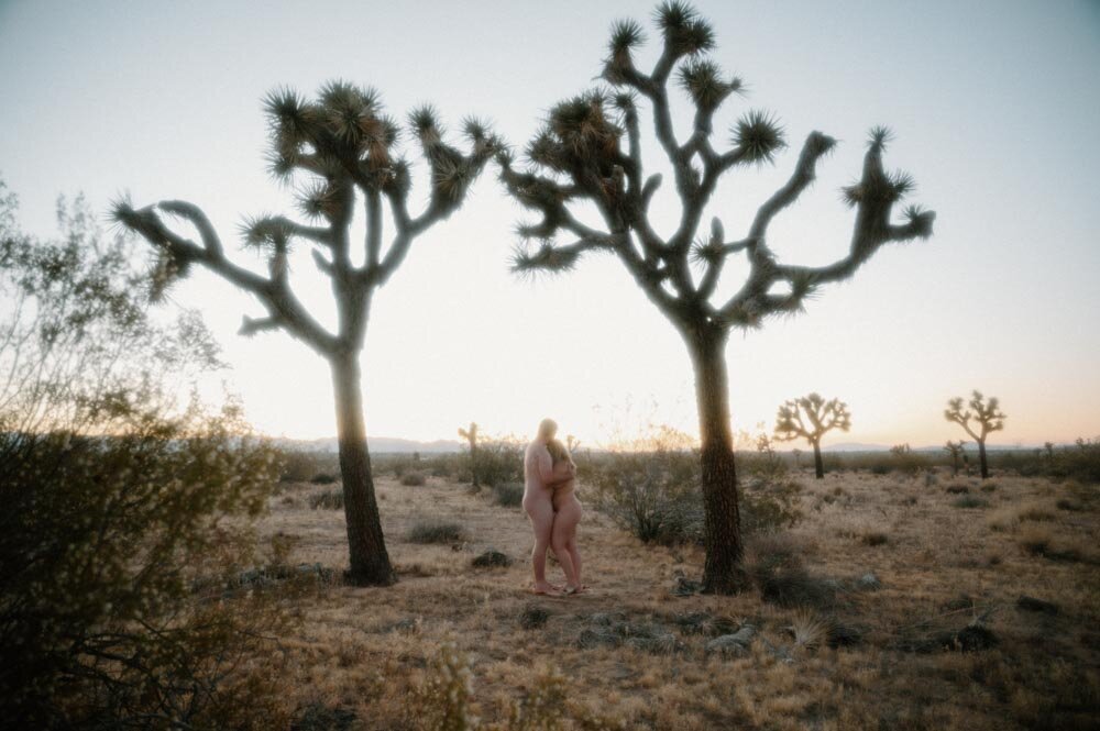 YG After Dark_Joshua Tree Couples