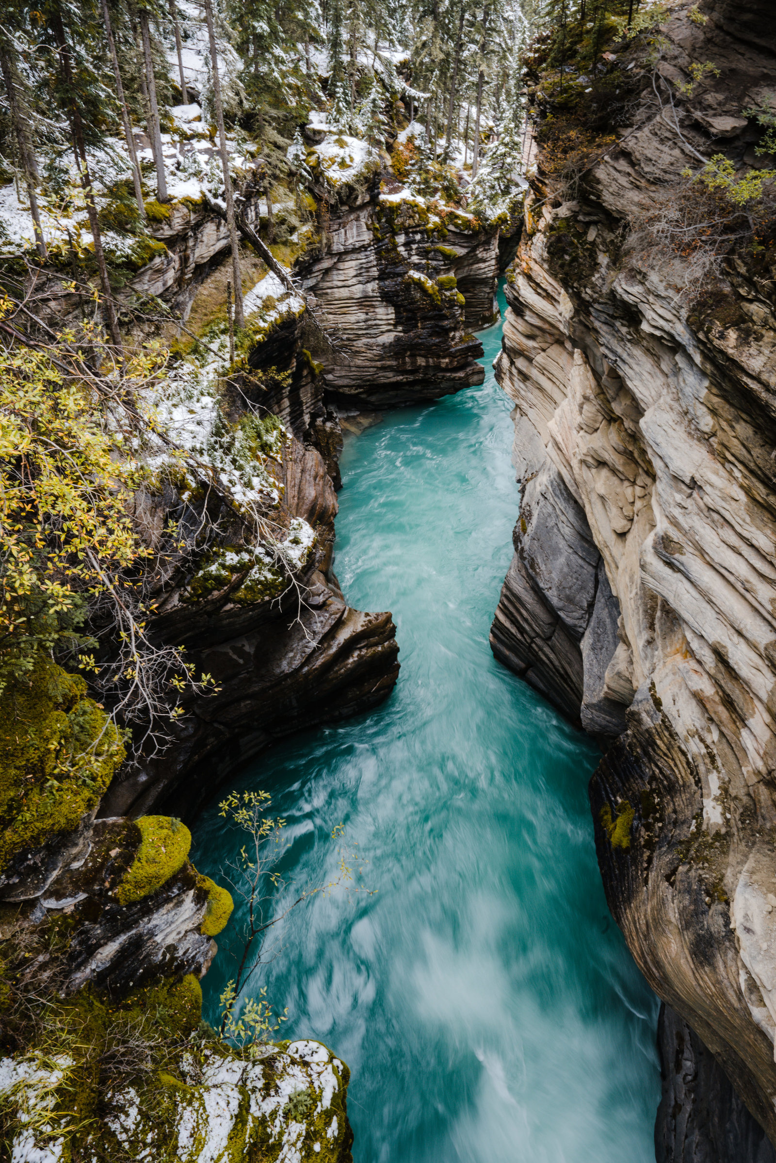 Banff_Jasper_National_Park_Sasha_Reiko_Photography-111