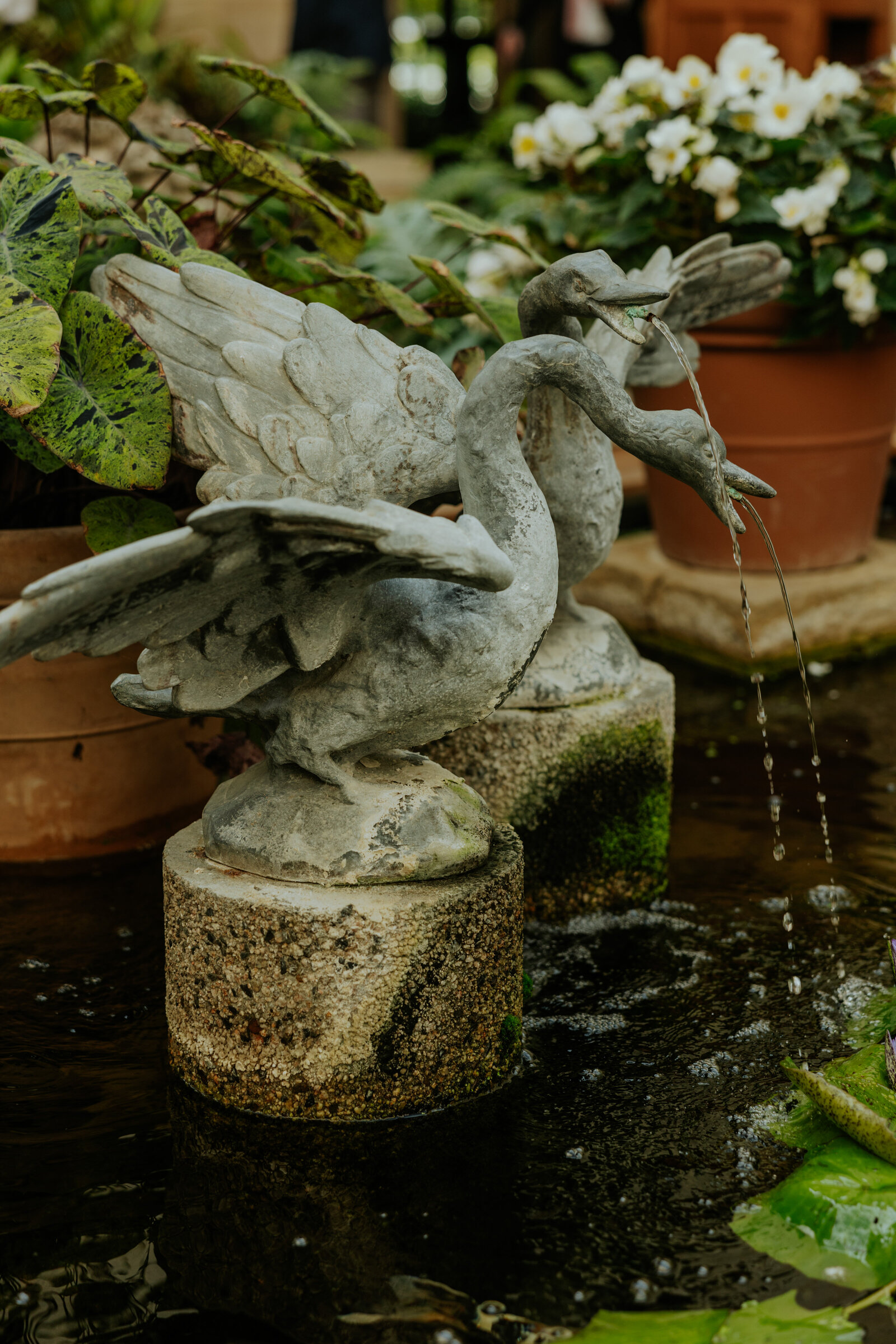 Lauritzen-Gardens-Wedding-402-Events-Julia & Connor  (27)