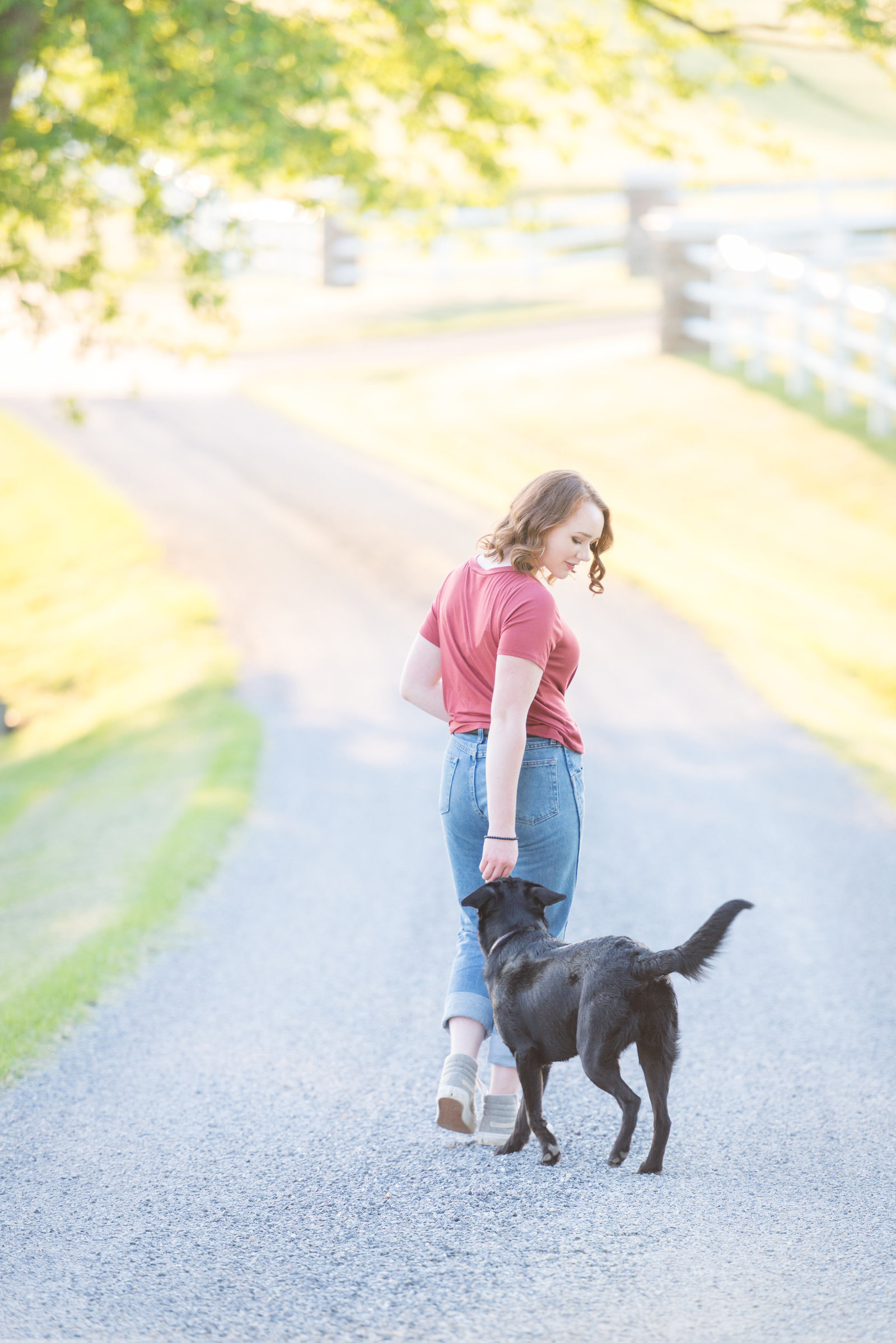 dog - senior - pictures - frederick - maryland - mary - sarah - photography   (1 of 1)