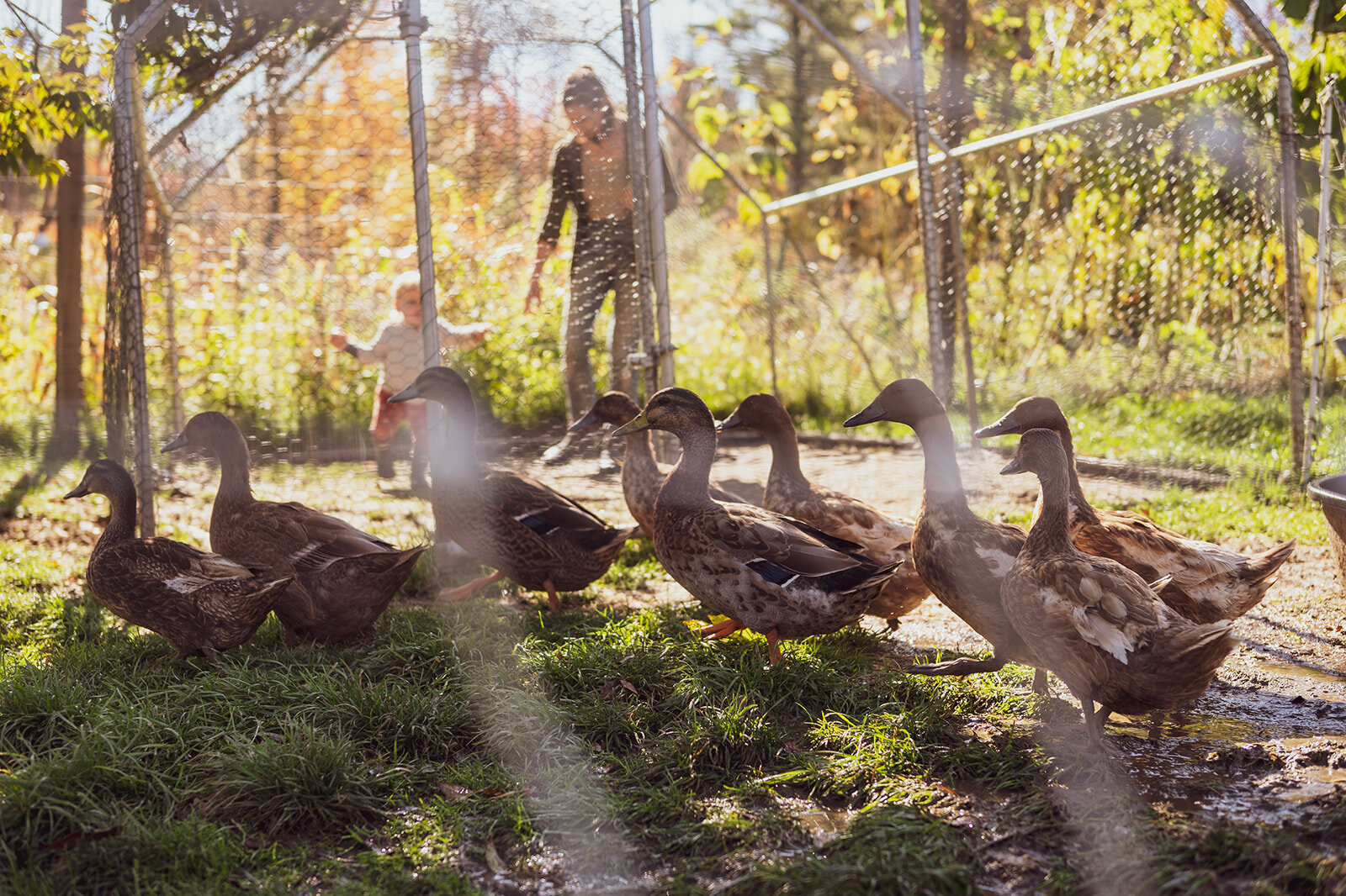 A day in the life photo salisbury captured in a documentary-style family photography session.