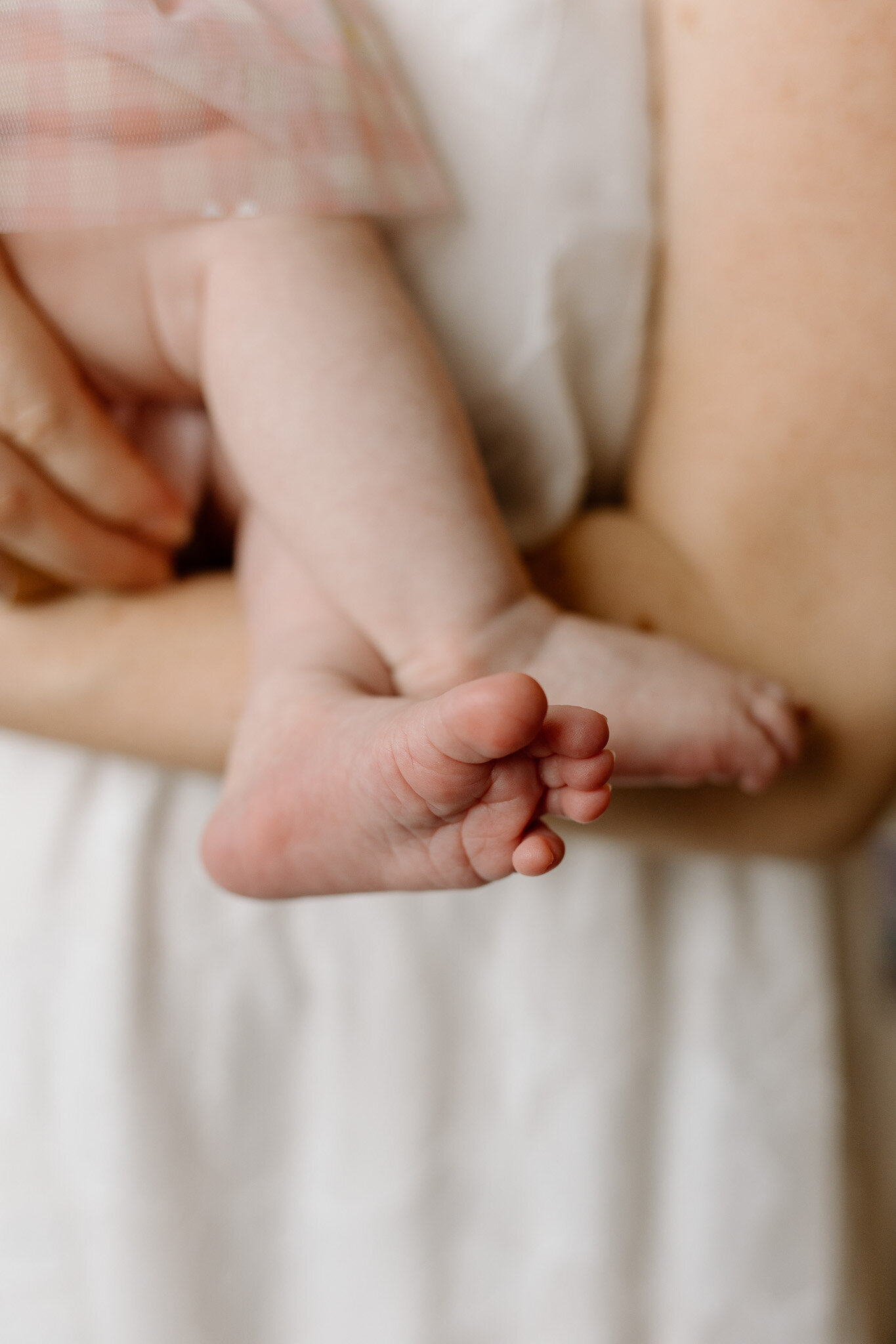 newborn-maternity-photography-lighthearted-joy-fresh (12)