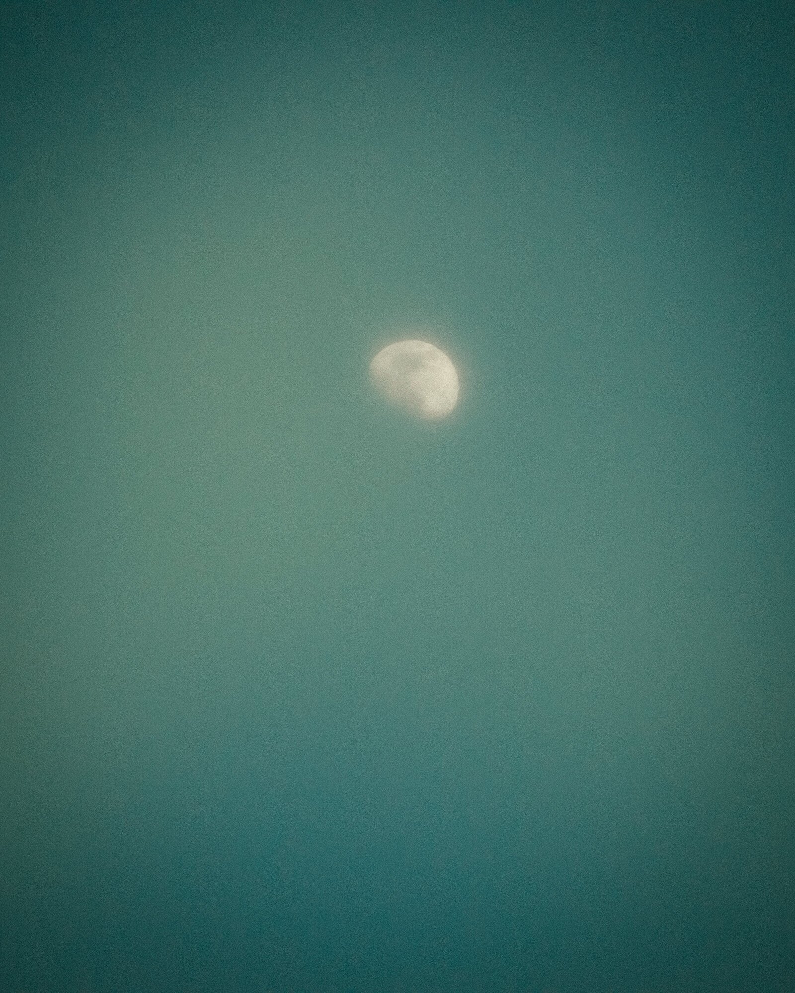 pexels-lanyjade-mondou-11471559