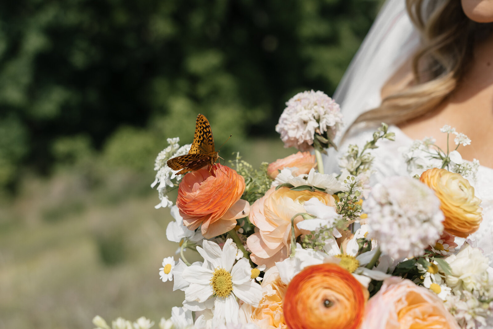 madelynpricephotos-7407913