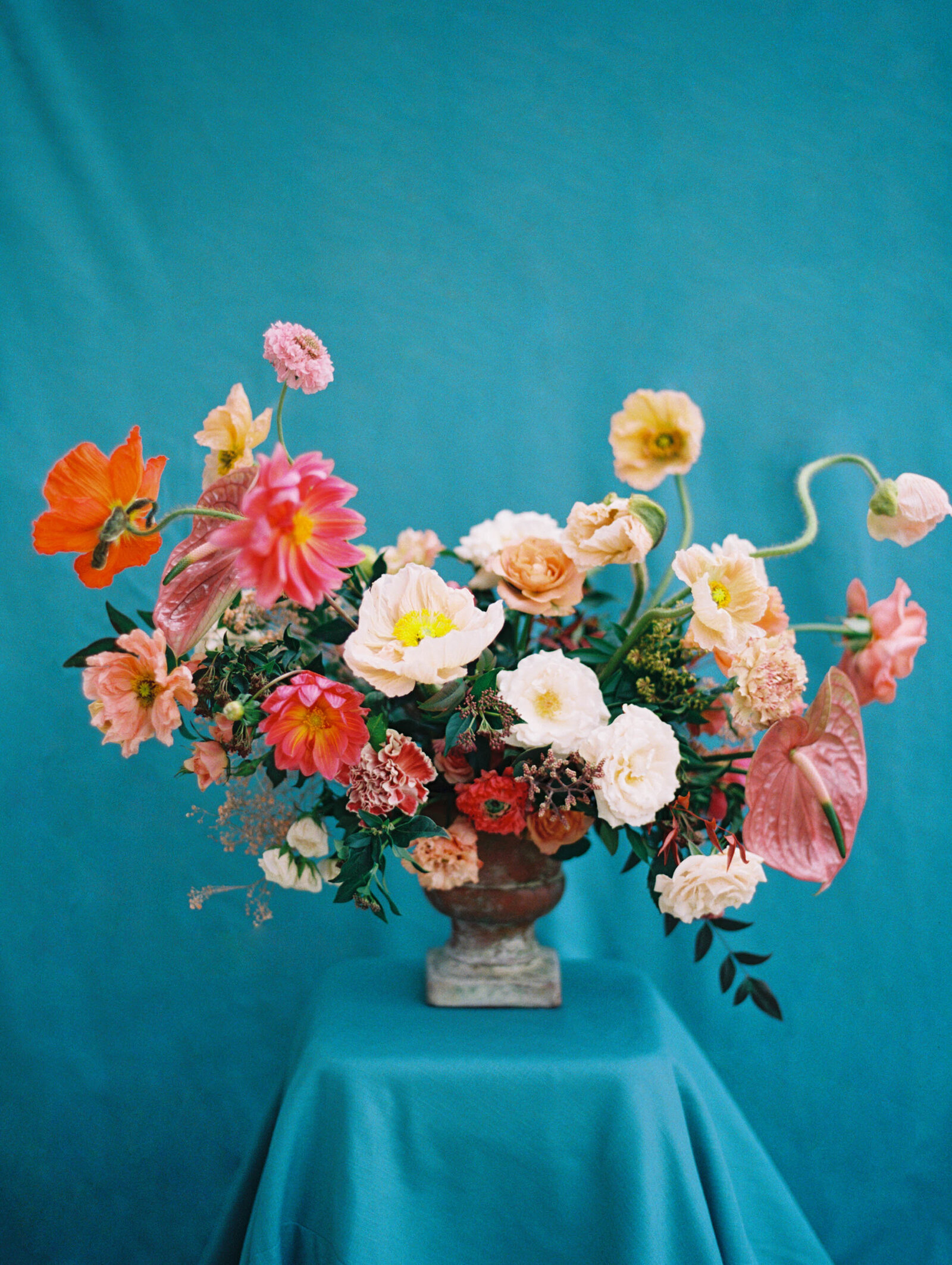 max-owens-design-at-home-floral-arrangements-23-poppies