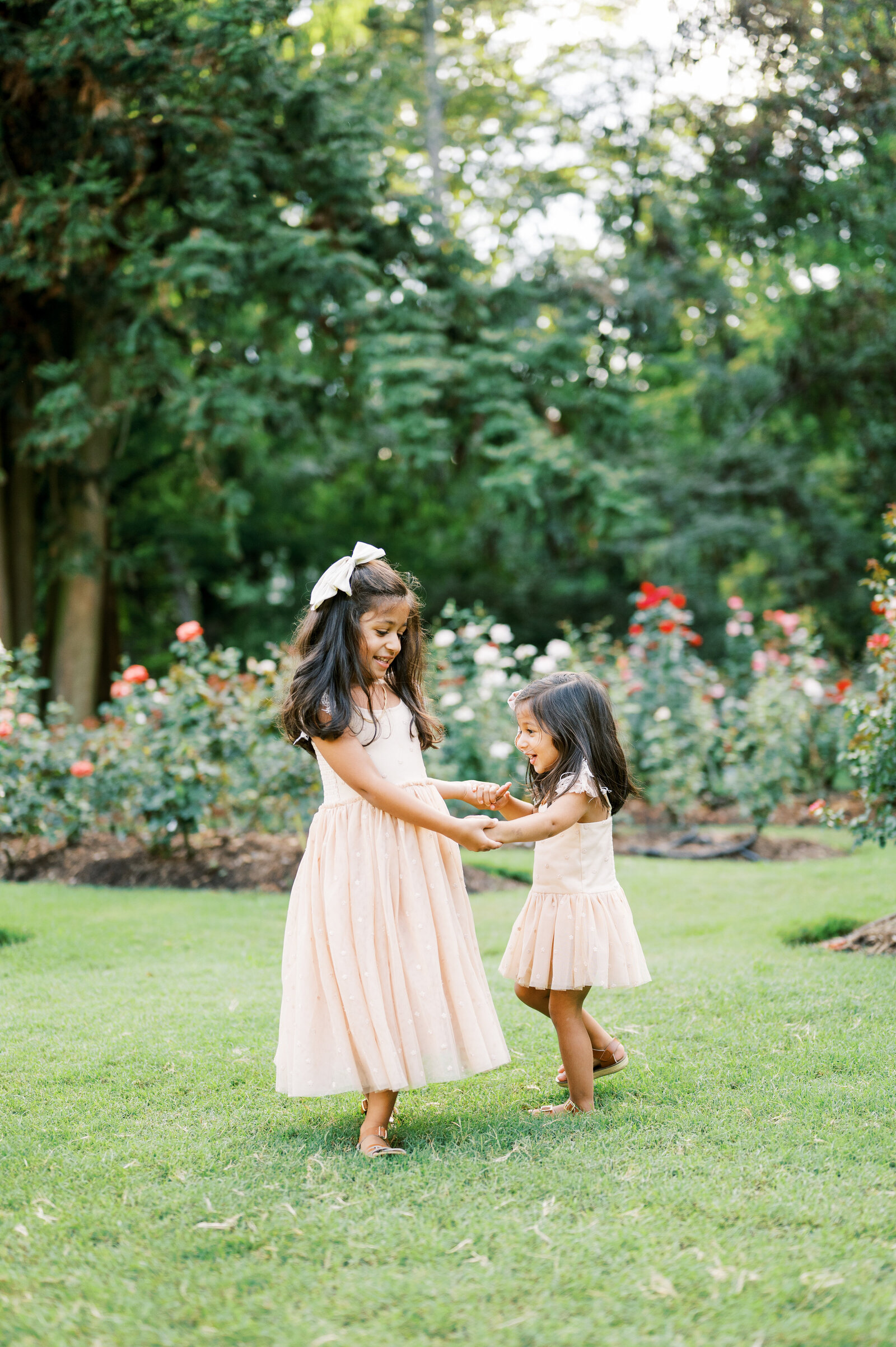 Two little girls with dark hair and pink dresses play together in rose garden during family photo session by Worth Capturing Photography