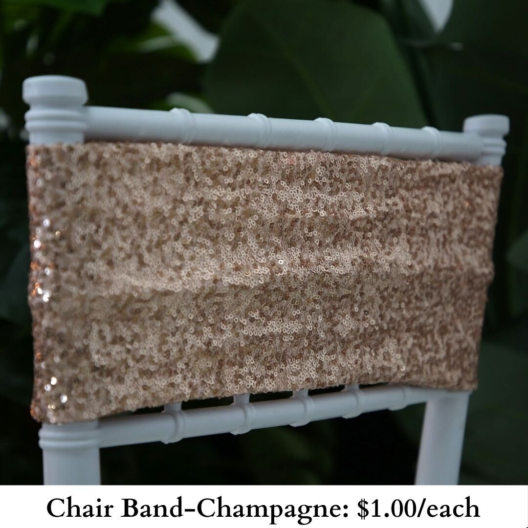 Chair Band-Champagne Sequin-156