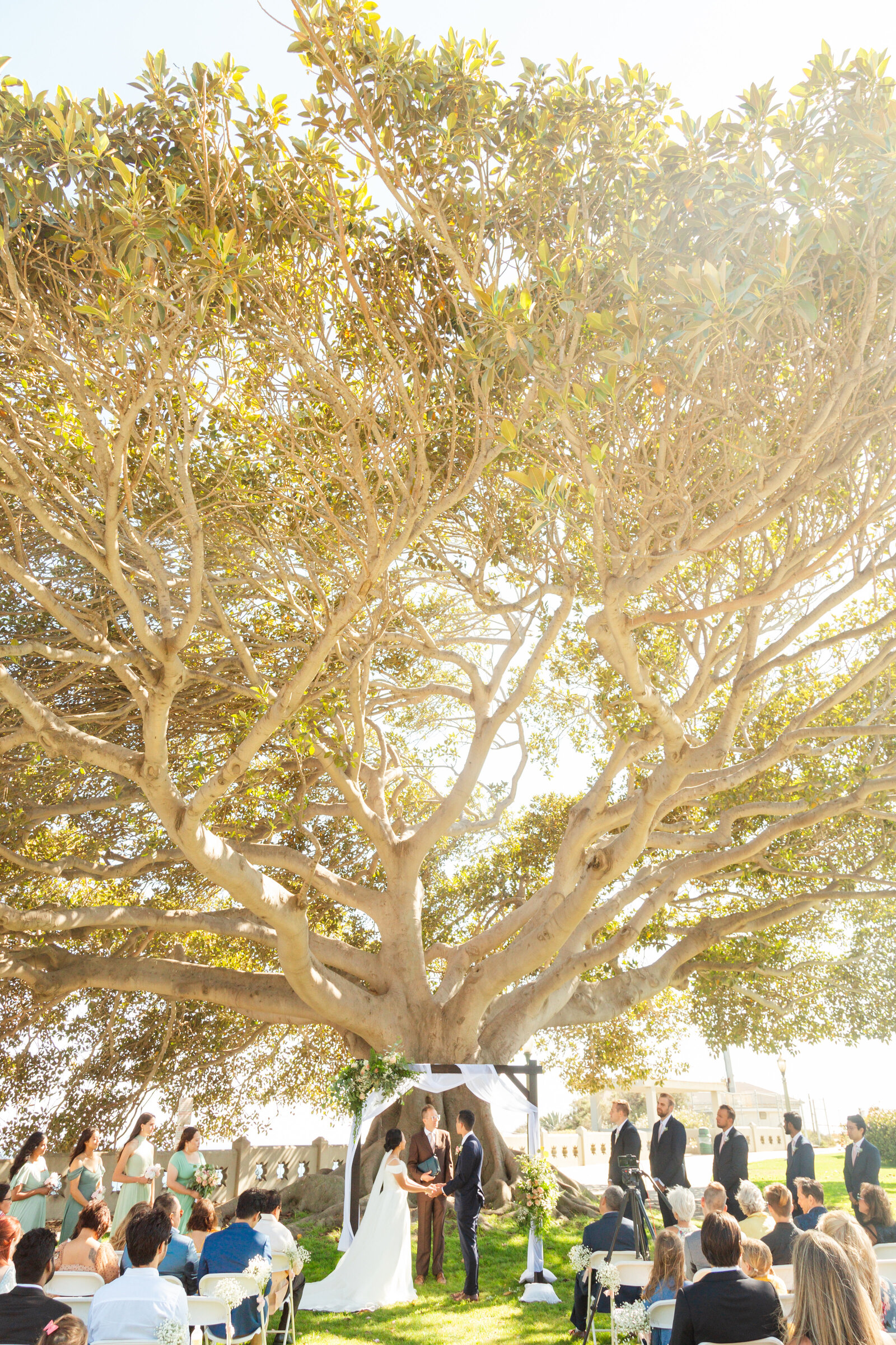 A wedding ceremony underneath a large tree in Los Angeles, Ca.