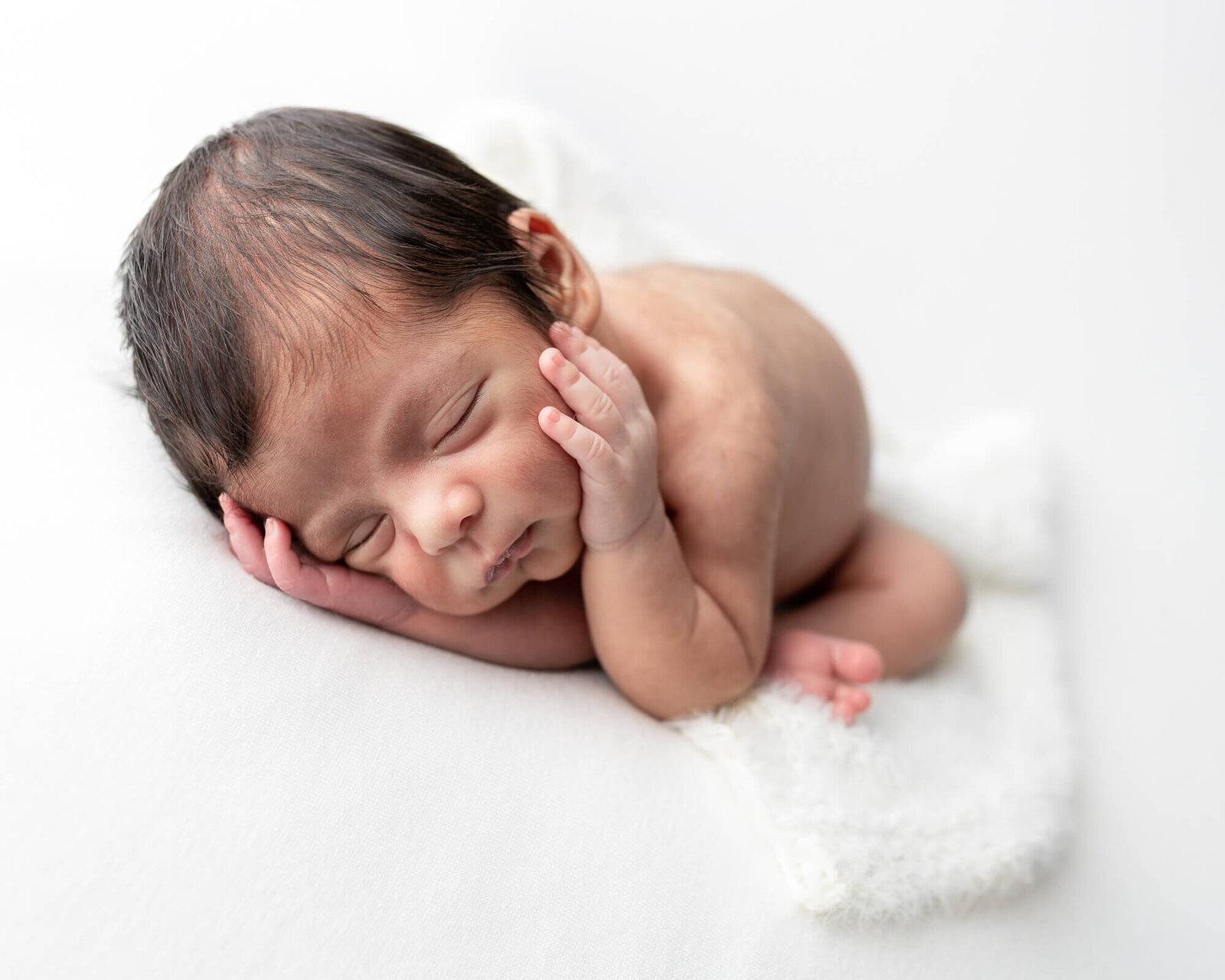 newborn portrait on pure white