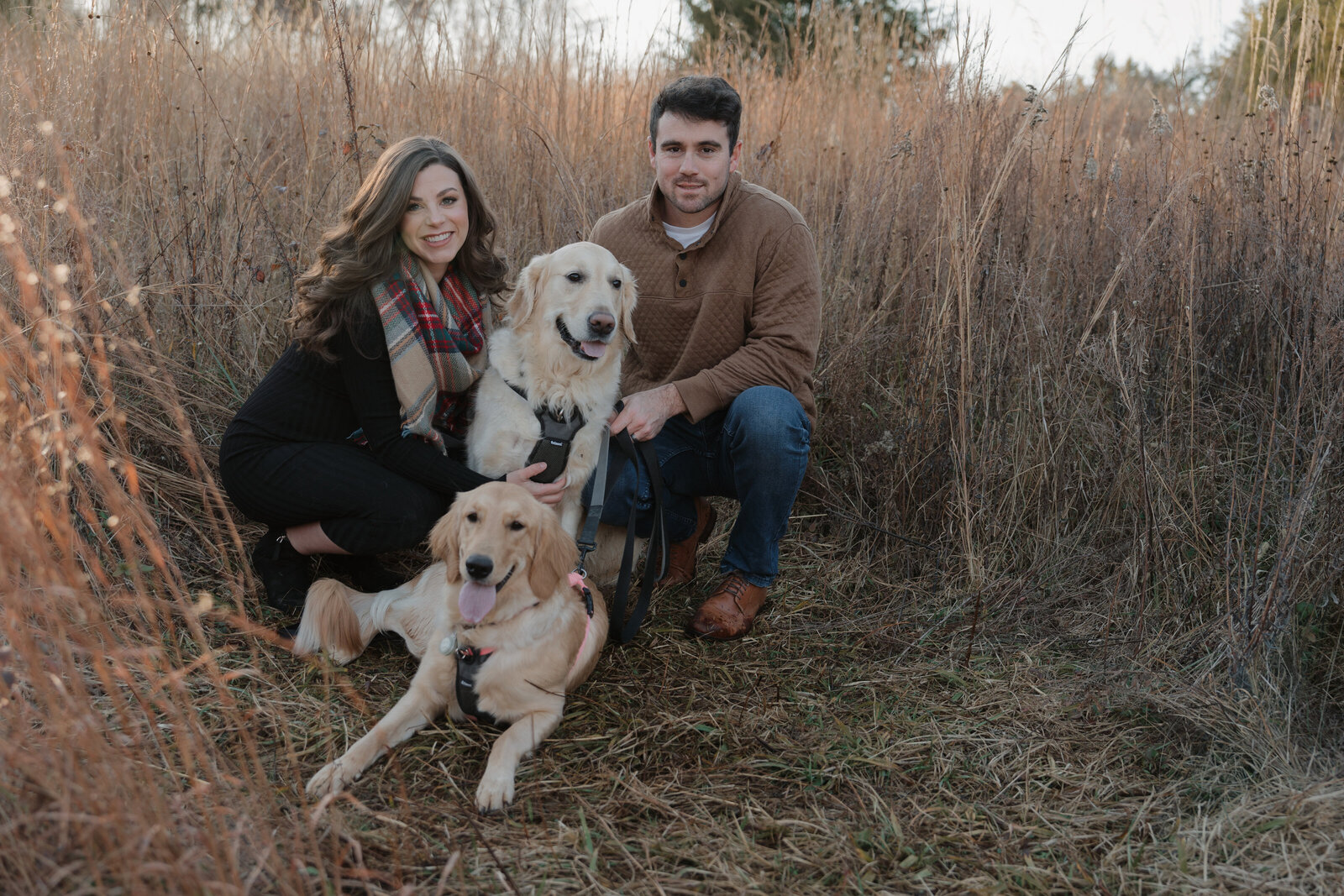 Family with dogs photoshoot