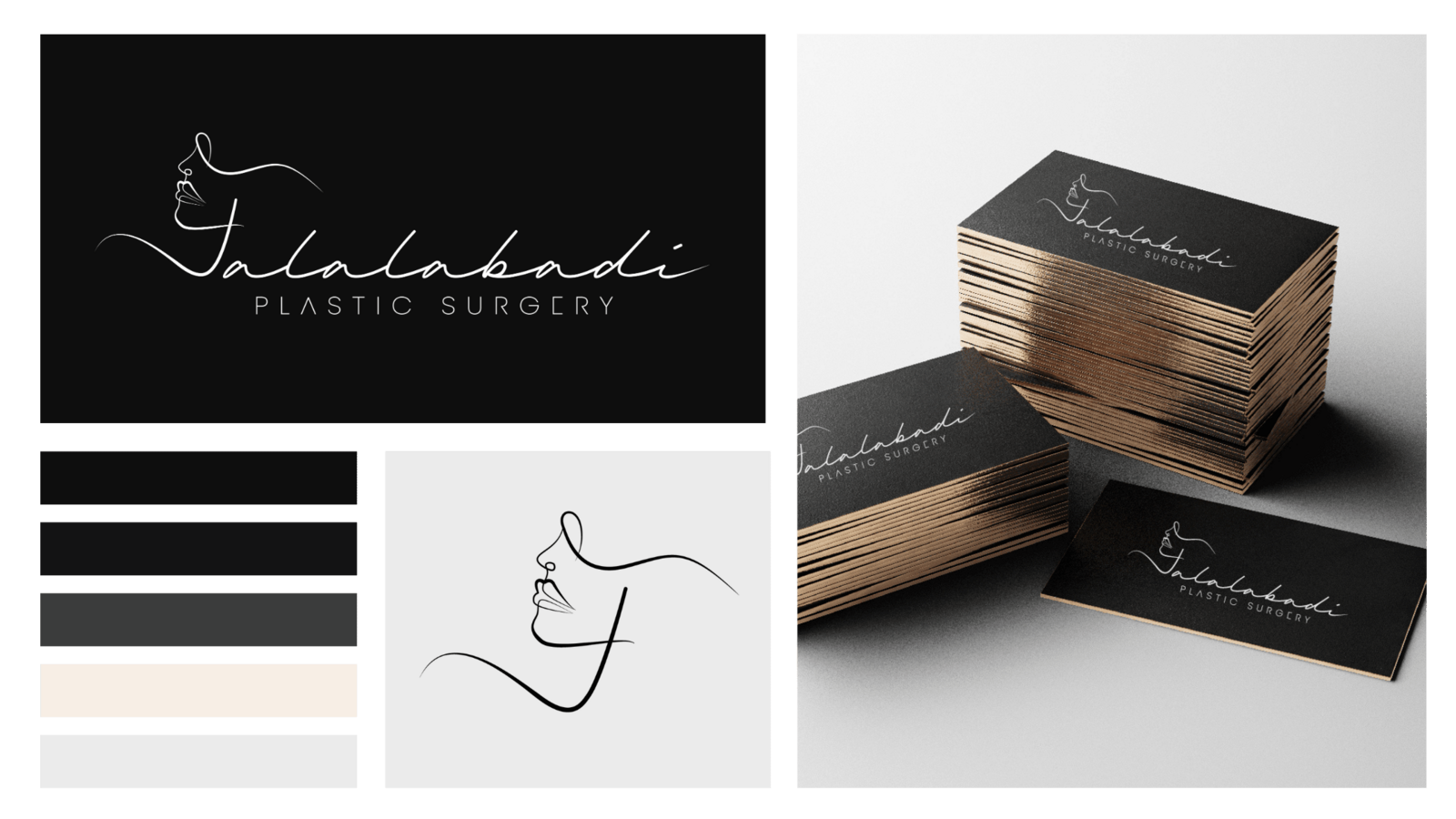 Brand board for DR J logo