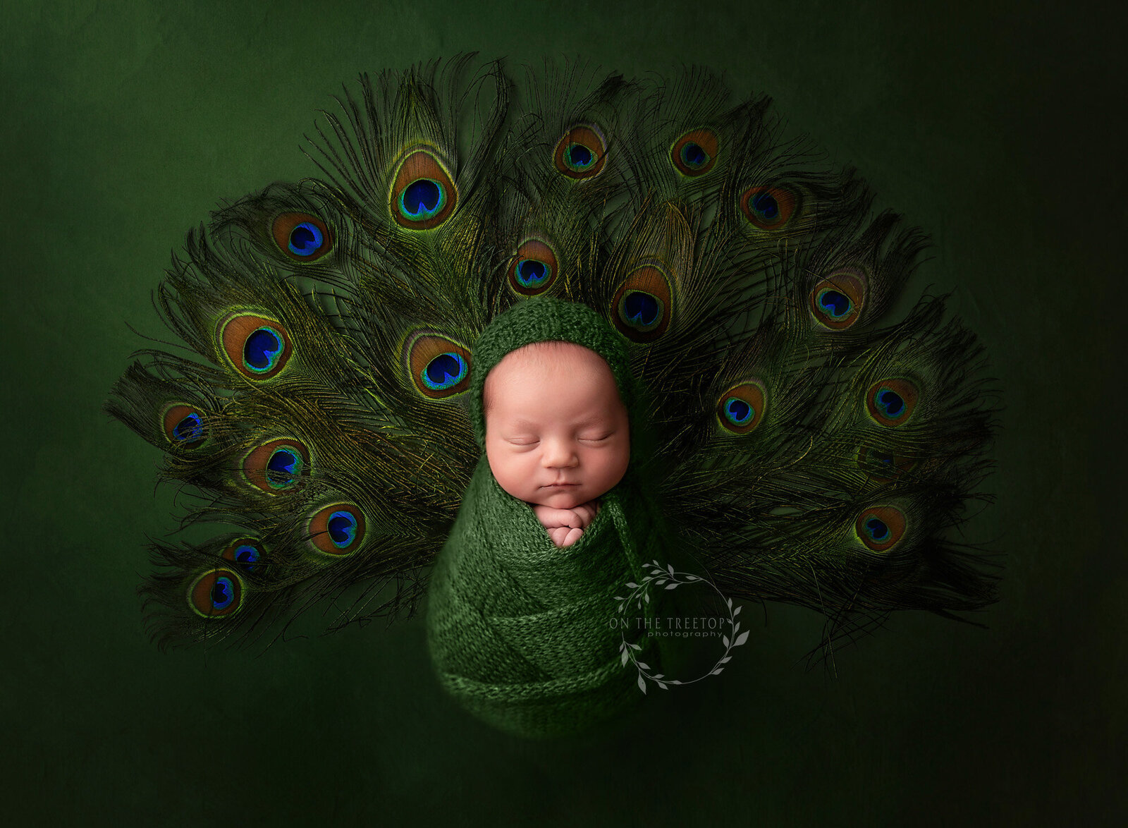 newborn-composite-photographer-cota-de-caza copy