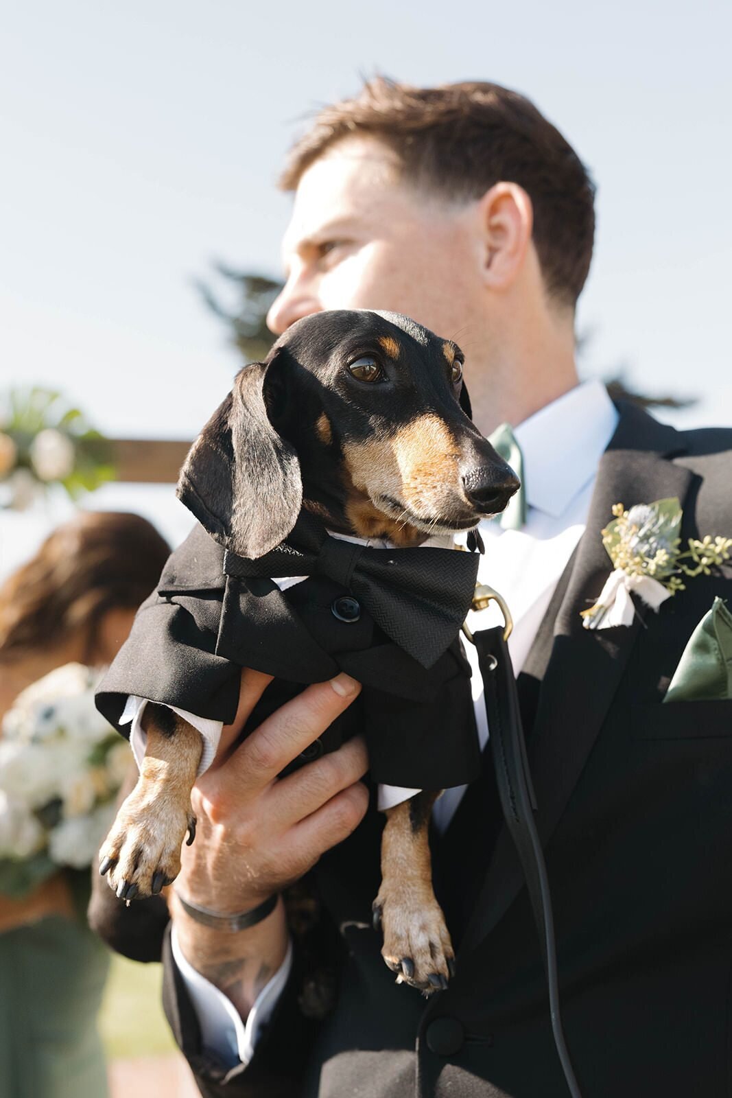 Groomsman holding the dachshund during wedding party photos