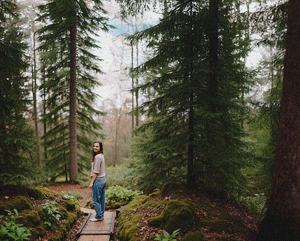 A person stands on a wooden bridge surrounded by dense, tall evergreen trees in a forest setting.