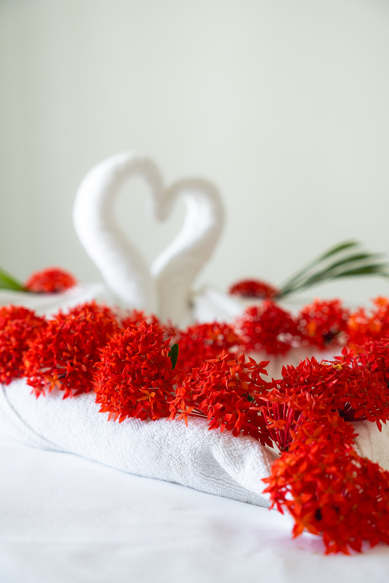 Van-der-Valk-Plaza-Beach-Resort-Bonaire-Travel-Photographer-Erin-Donahue-niredonahue (1)