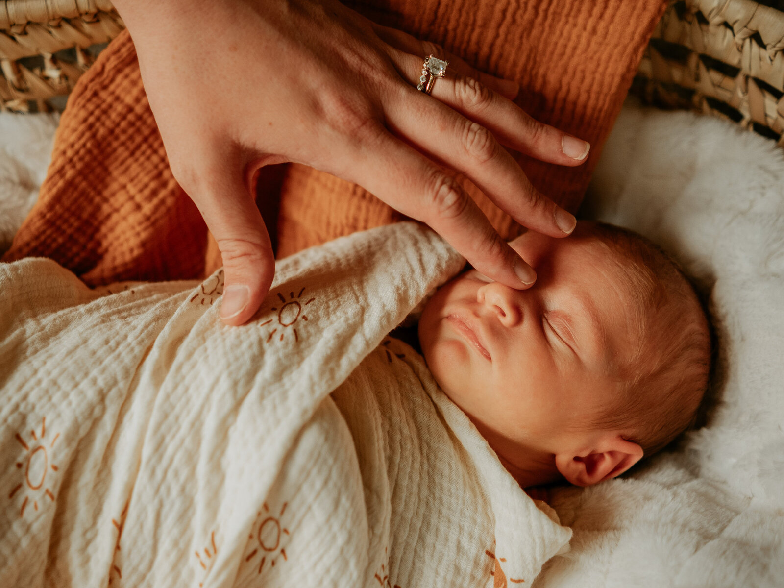 newborn-photography-effingham-illinois-alex-hoedebecke-5