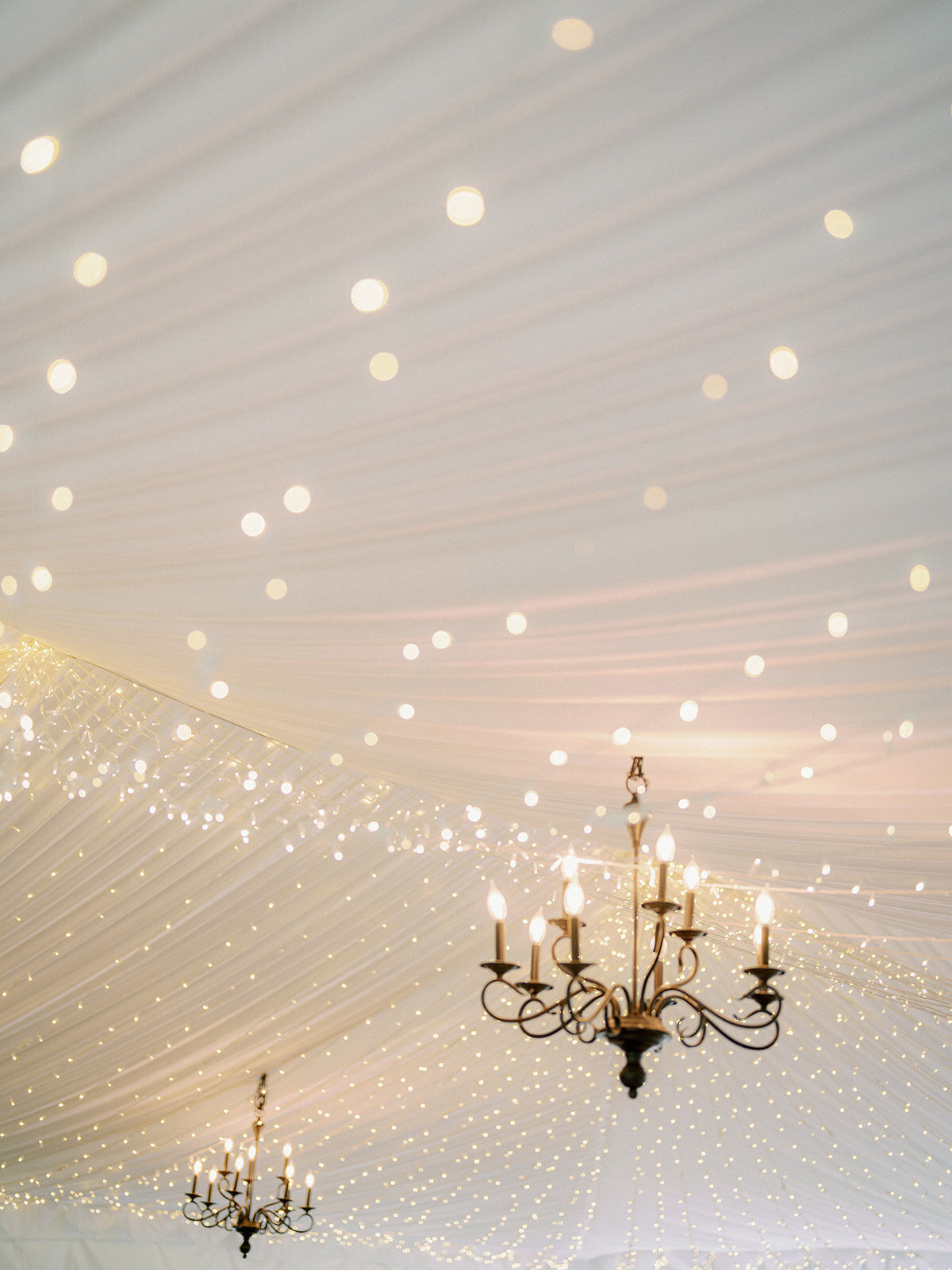 chateau-lille-woodinville-weddingchateaulille_woodinvillewedding-D-E-434