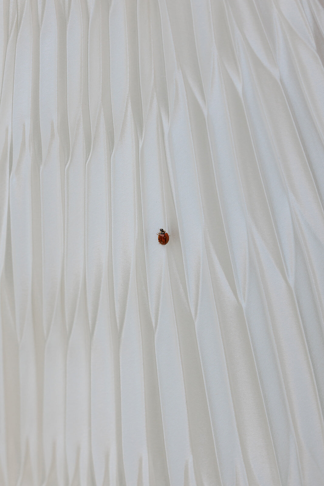 9746233554.jpg_exif1