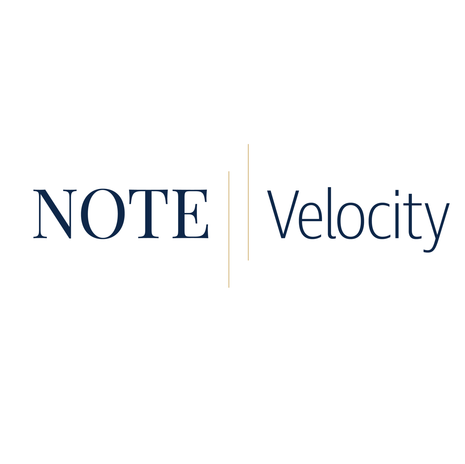 note velocity branding-03