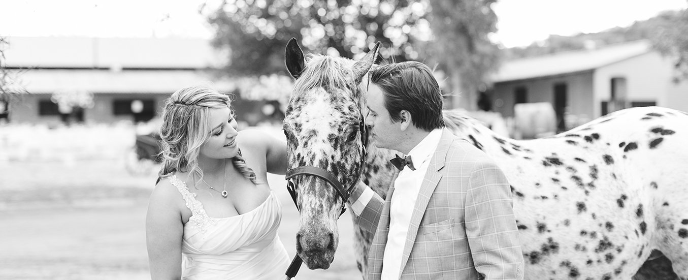equestrian-wedding-south-africa
