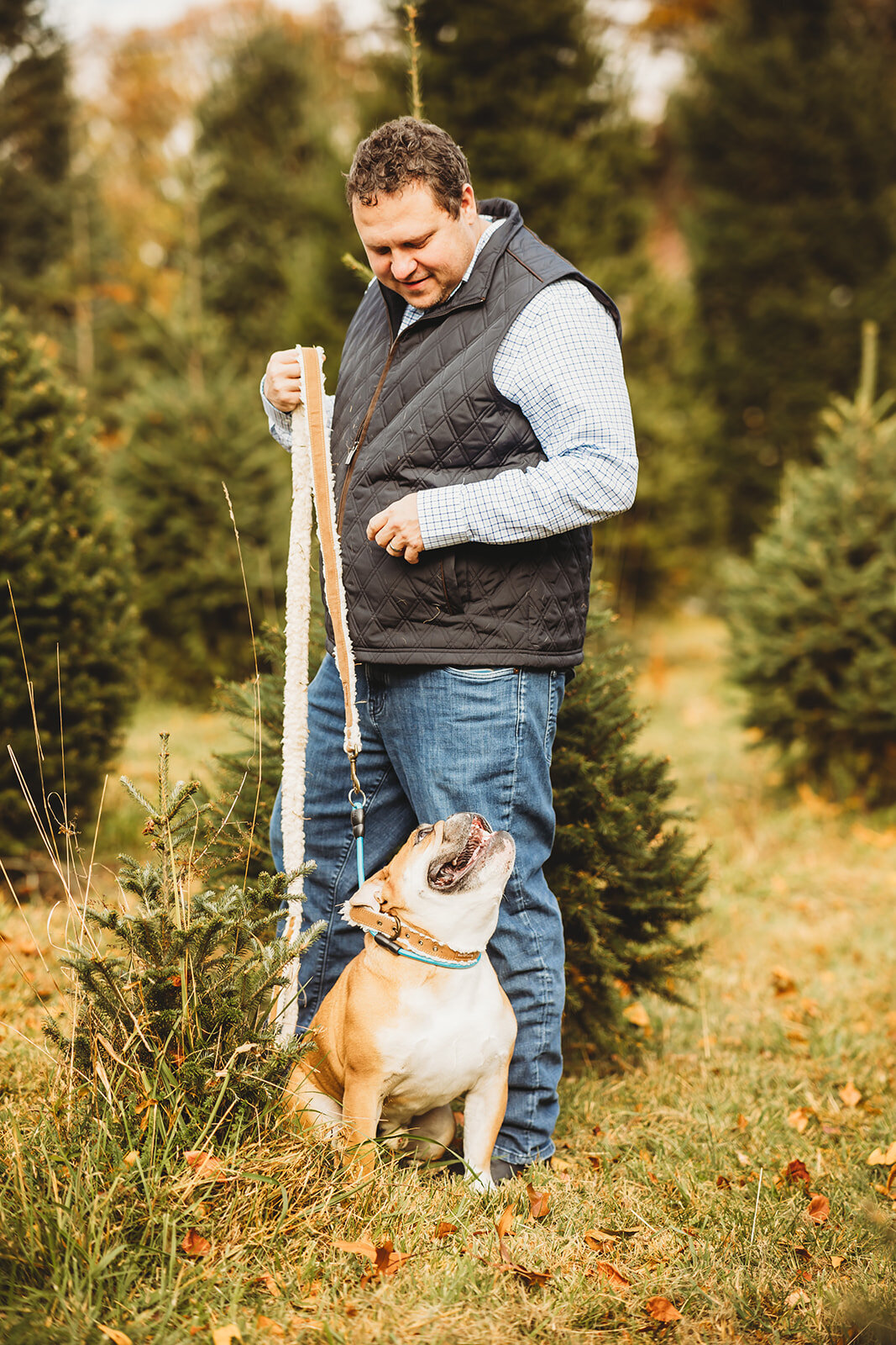 harrisburg-dog-photographer_8599_websize