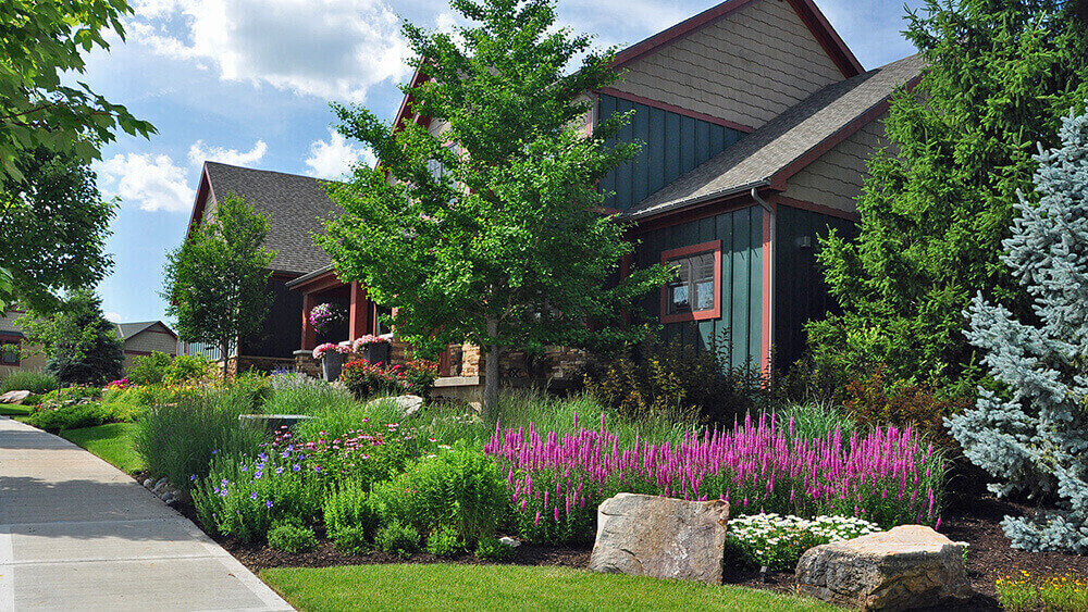 Landscape company project