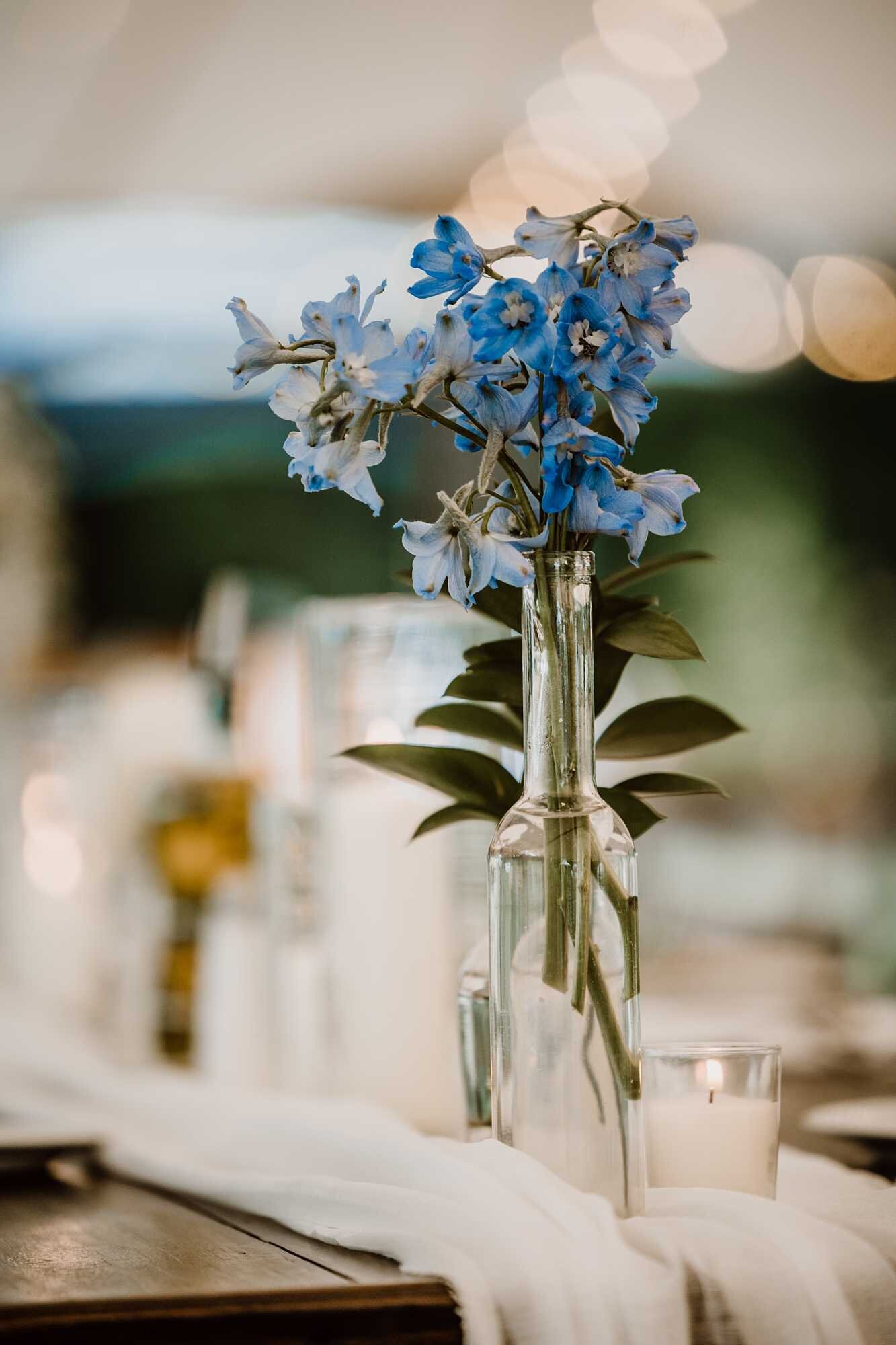 Cassie&TaylorWed_0050
