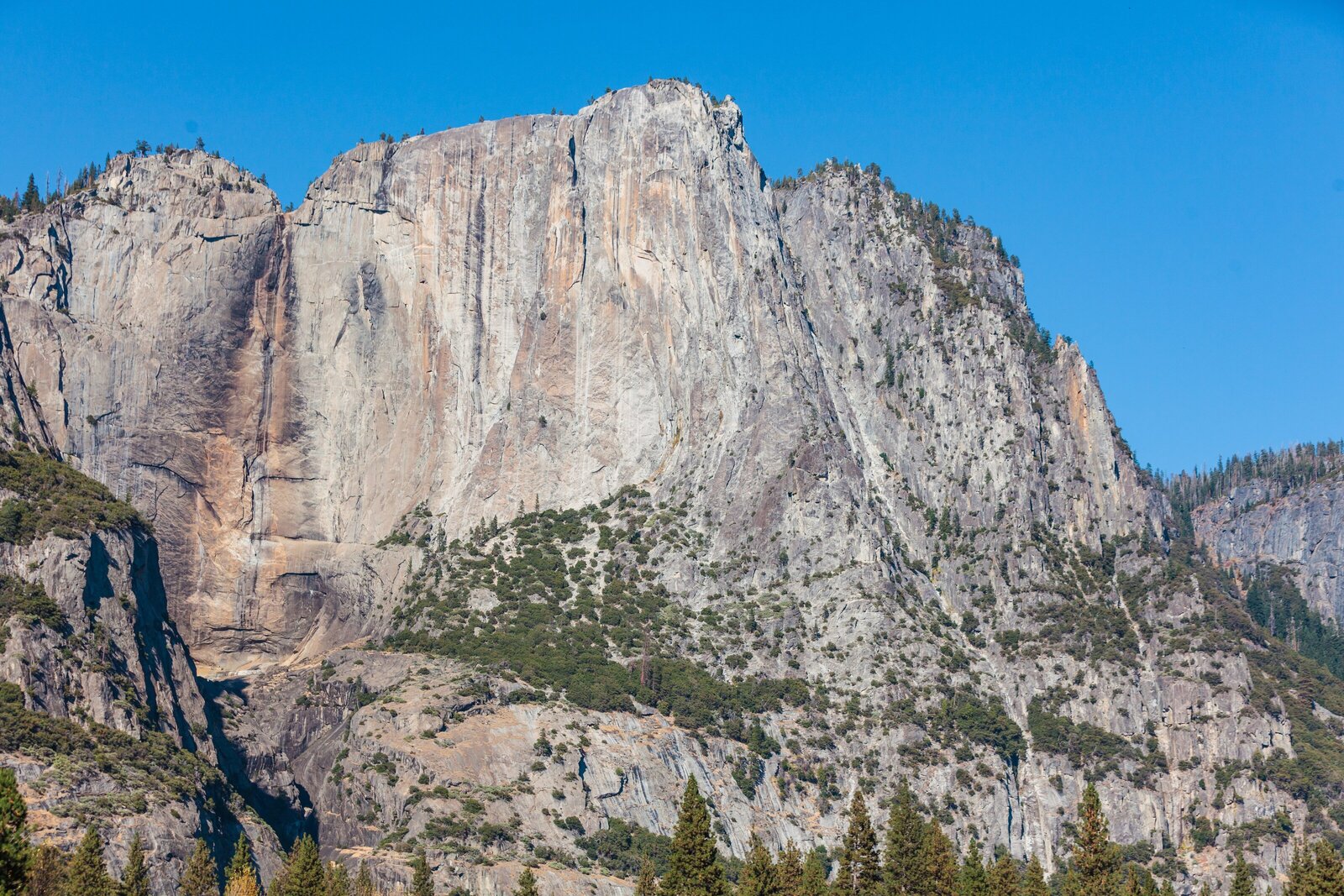 Yosemite-National-Park-Valley-California-Forest-0022
