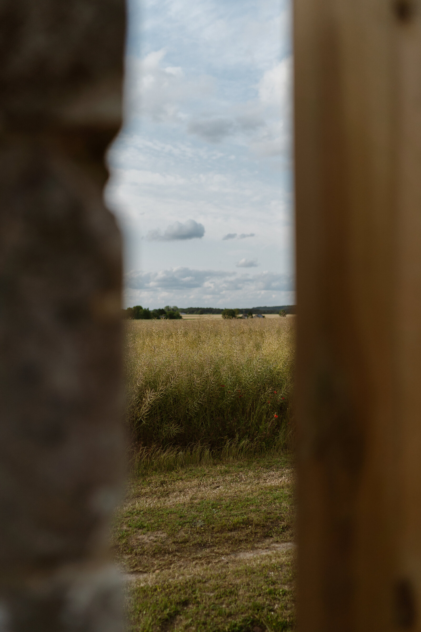 Daphnebaronfotografie-060