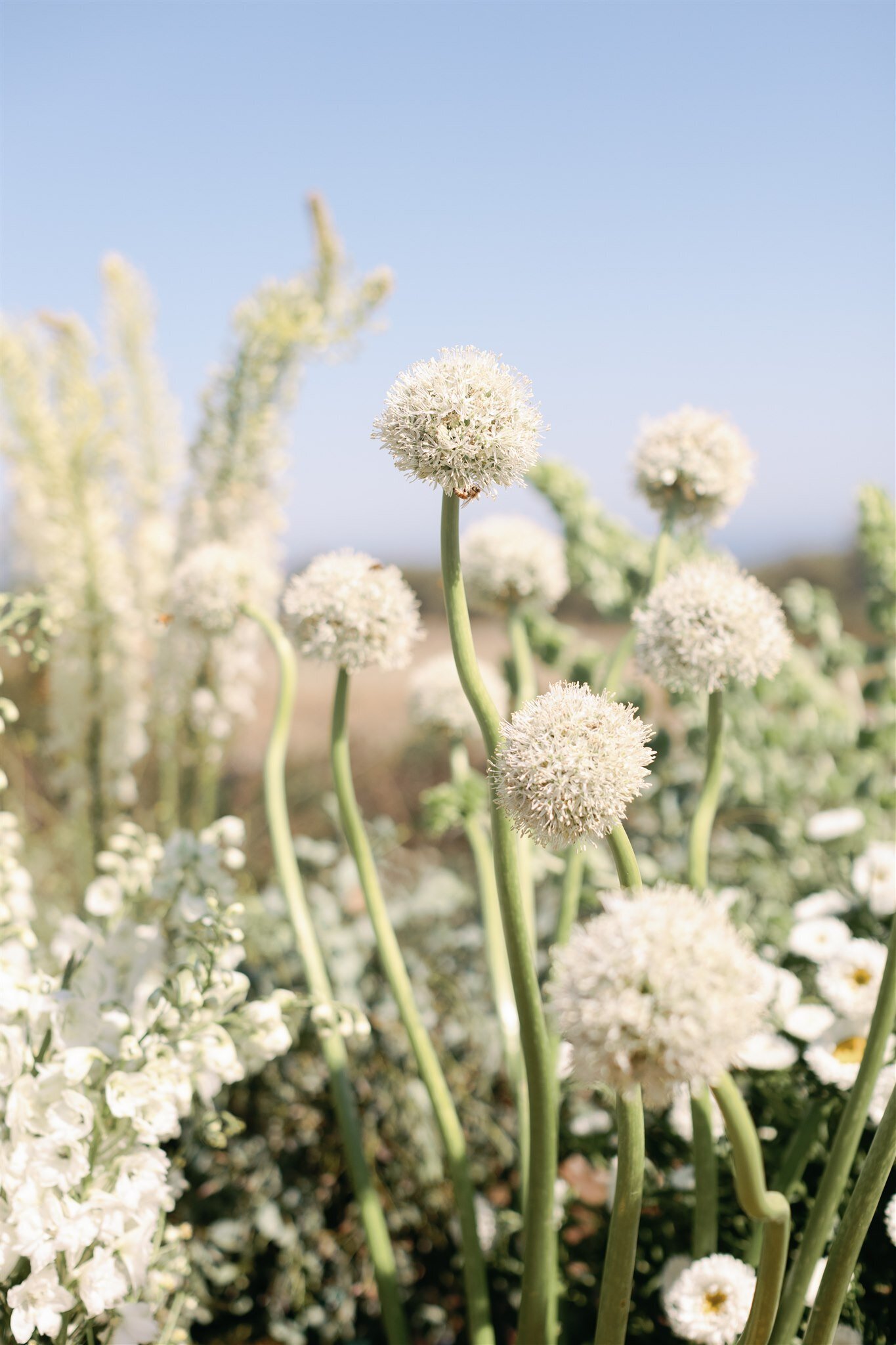 ArianaGeorge_Wedding0444