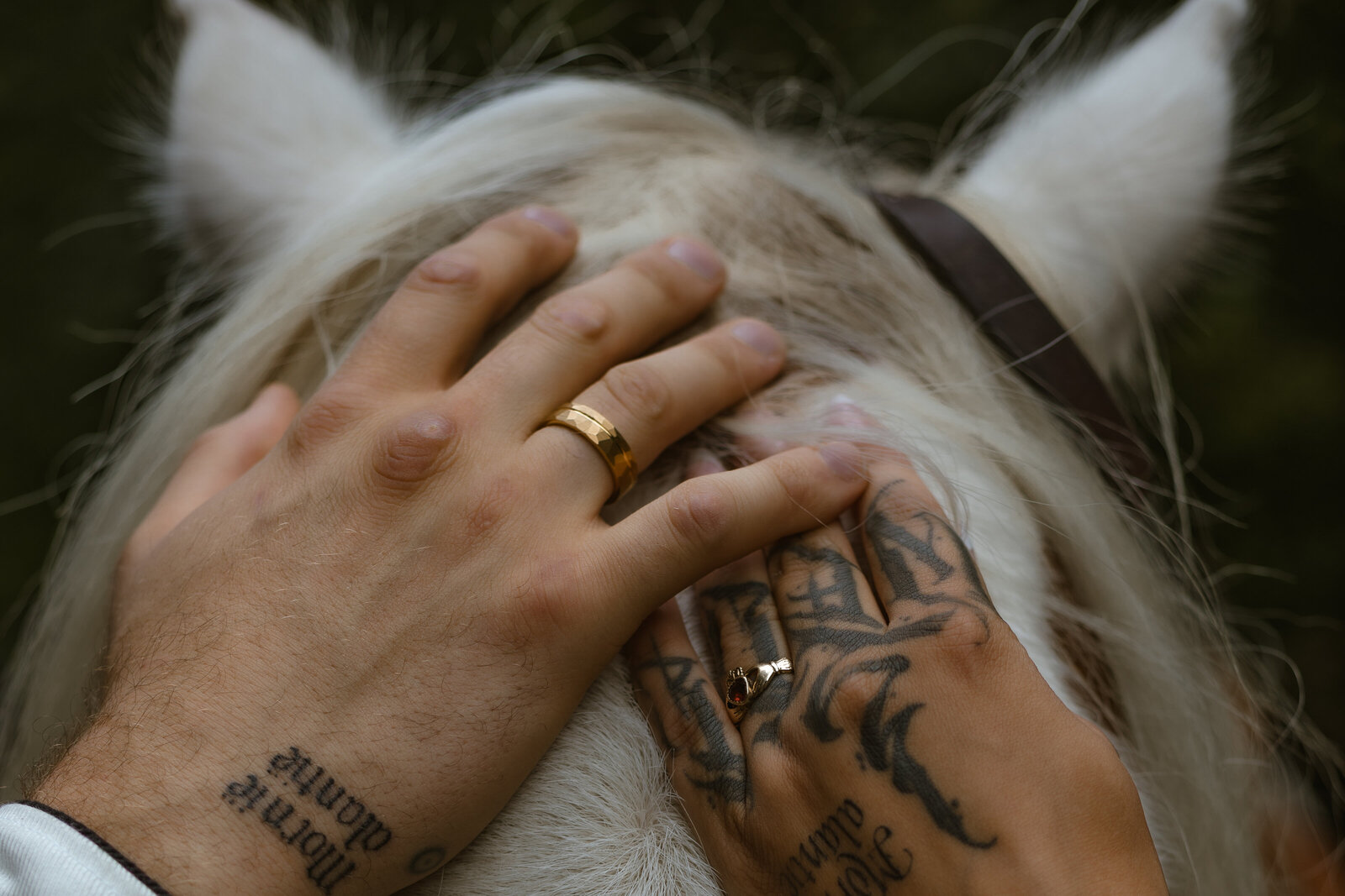 annedenhaanbruiloftxchamildachrisSP-60