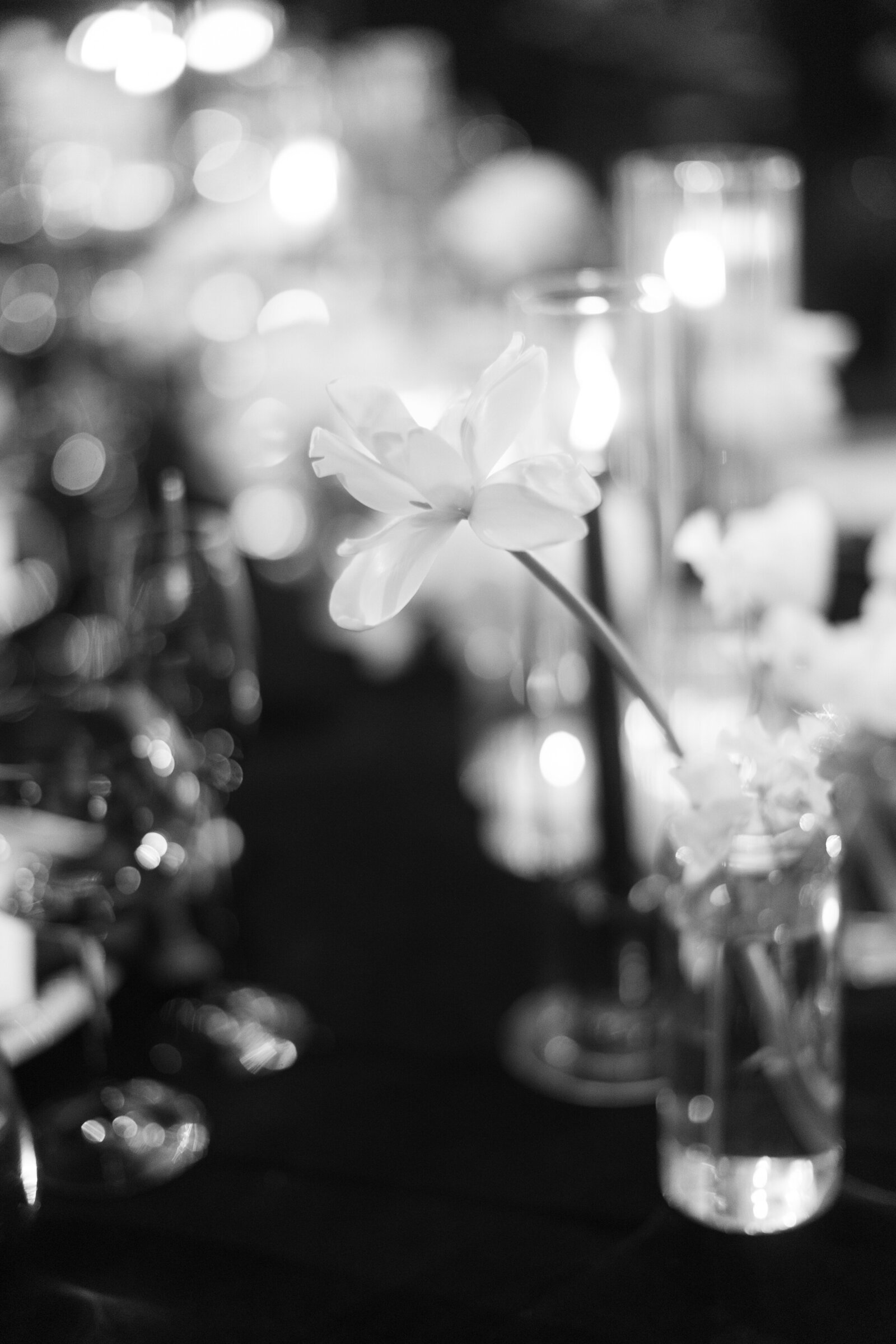 0019-IMG_2219-AshleyRaePhotography